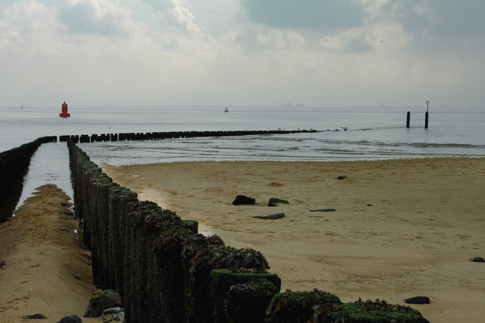 Westerschelde