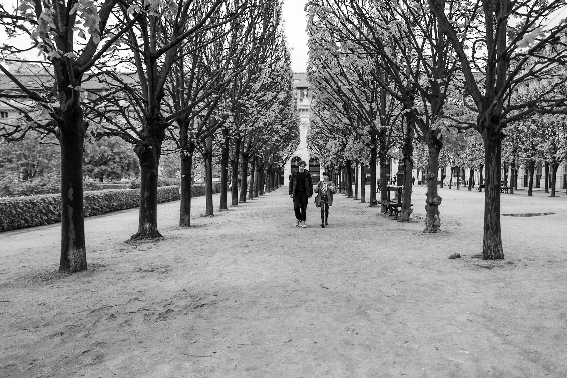 Palais Royal, 1st arrondisment, Paris.  2022. Photo: Julija Voronina