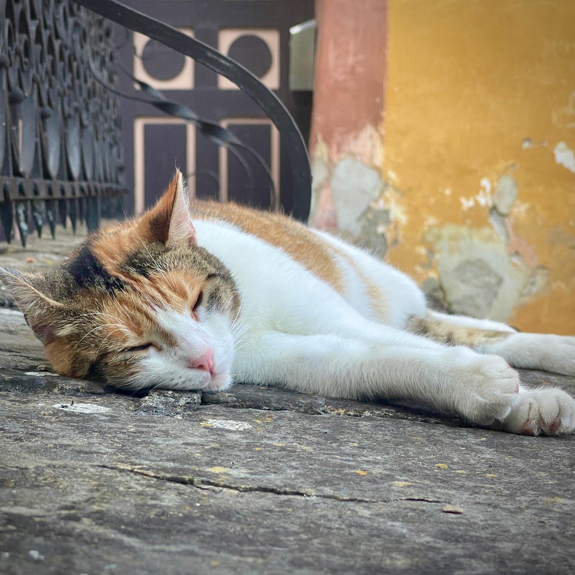 Sighișoara, Romania