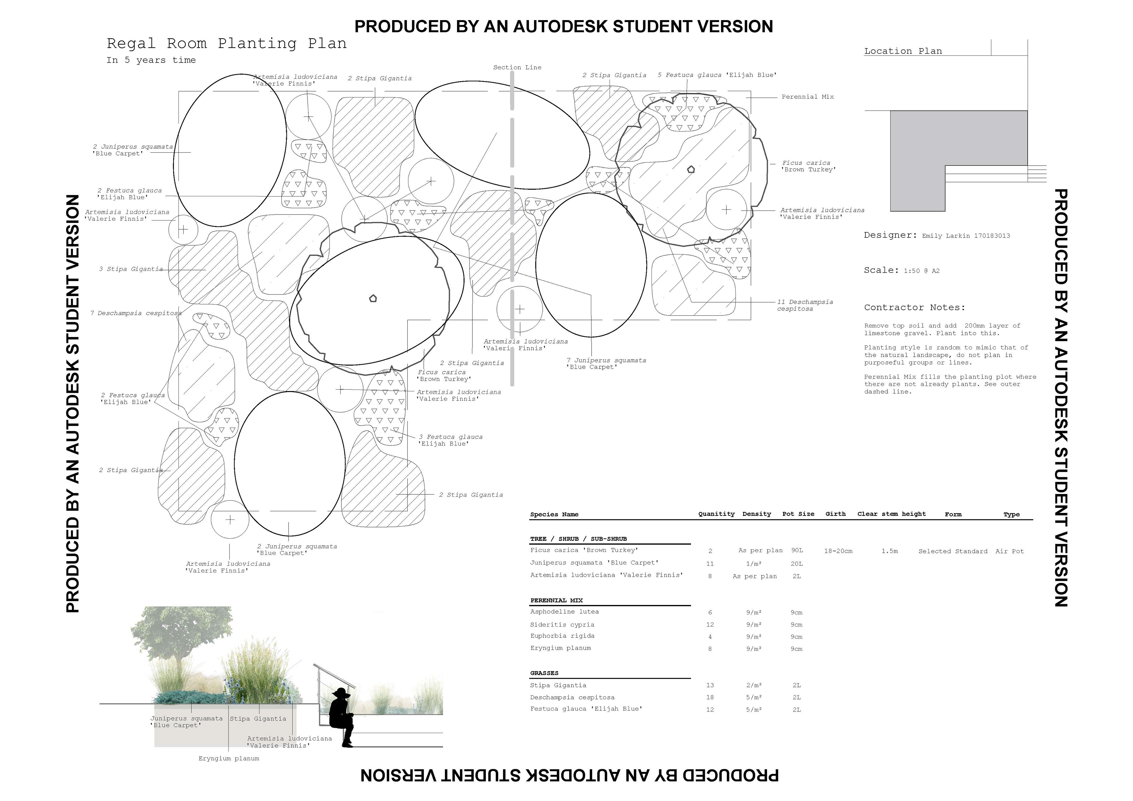 University Project