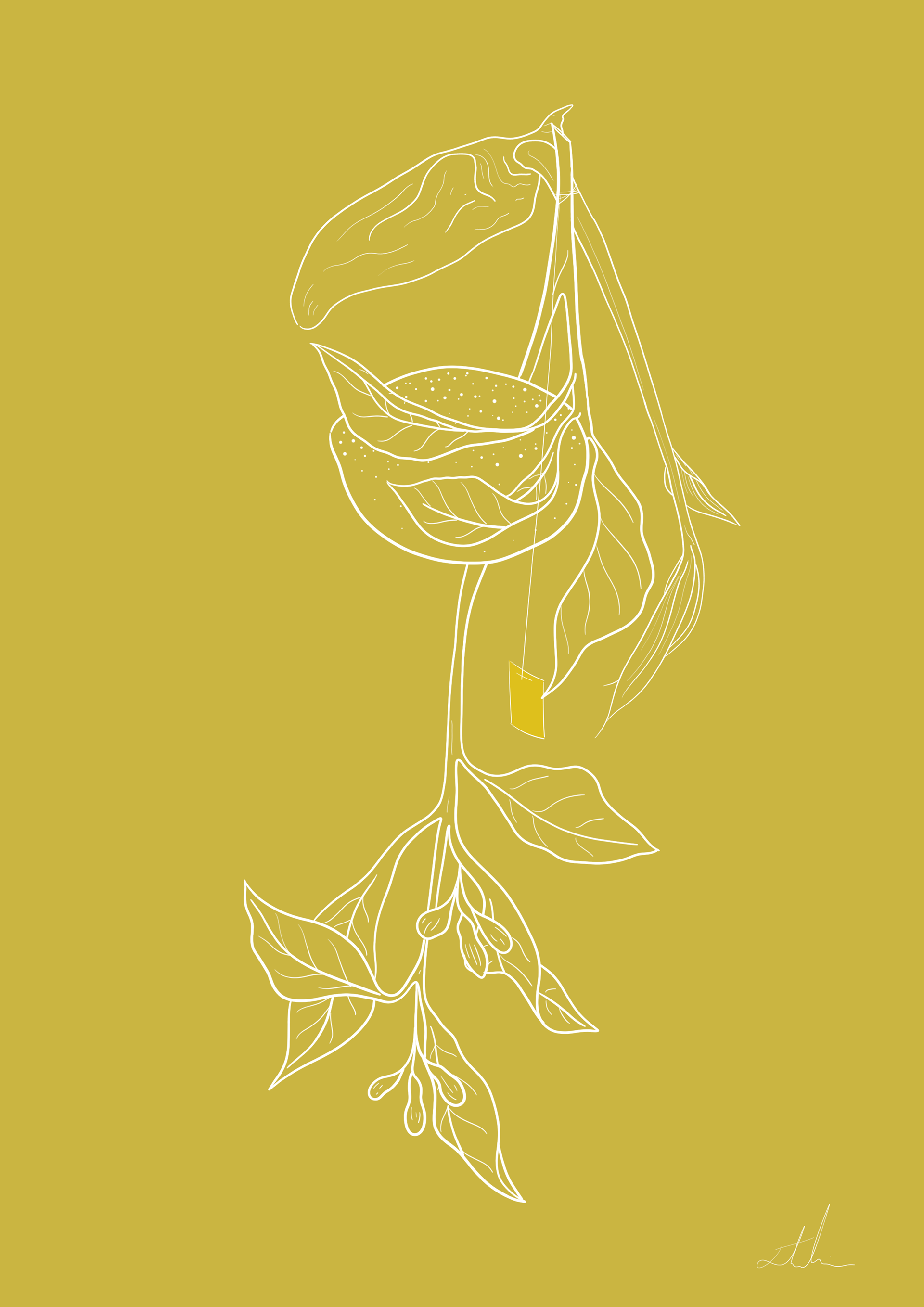 Lemon and Ginger Tea