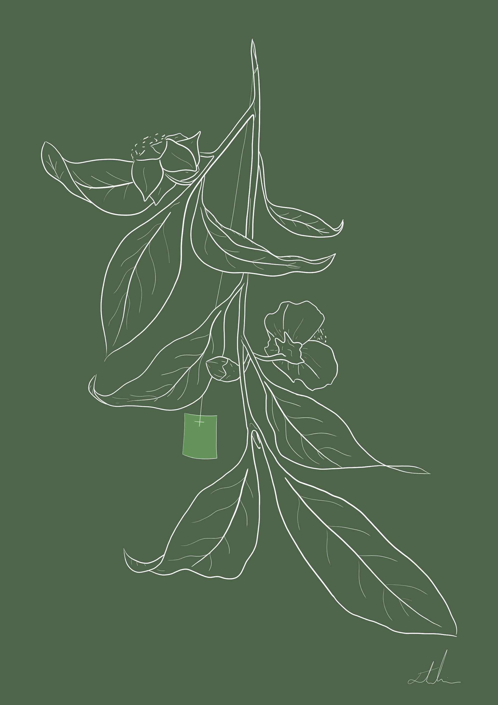 Green Tea