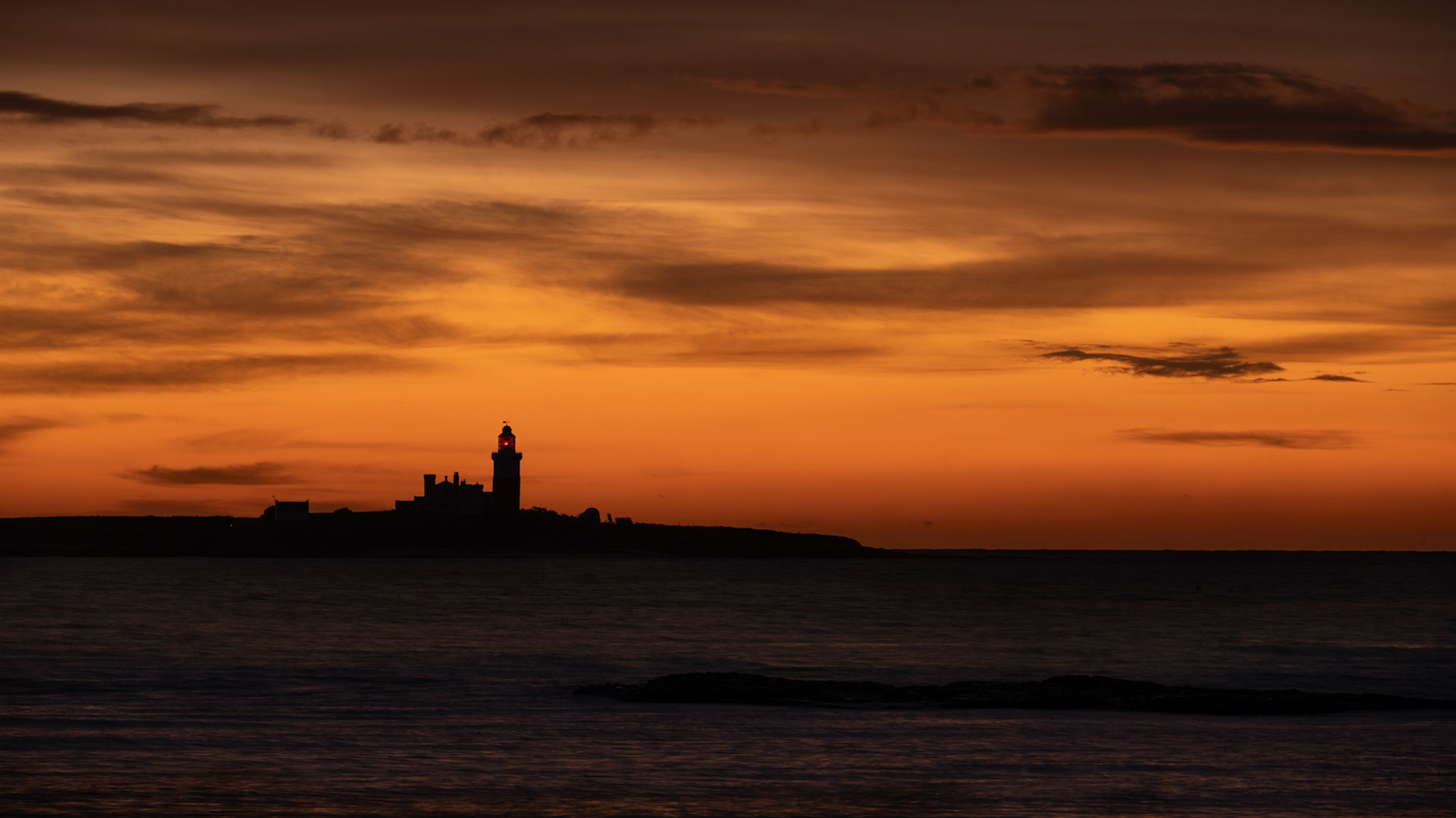 Coquet Island
