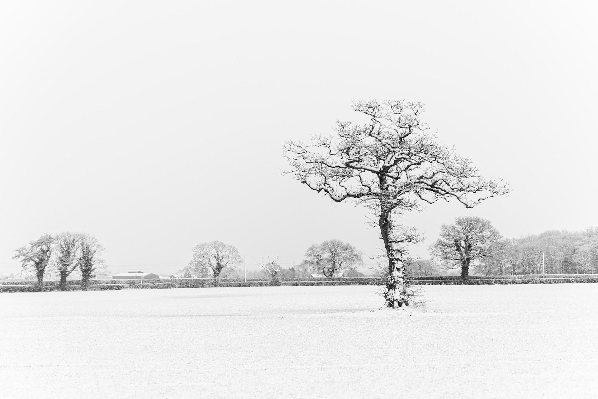 Local snow