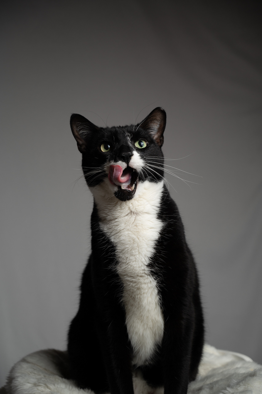 Oliver
