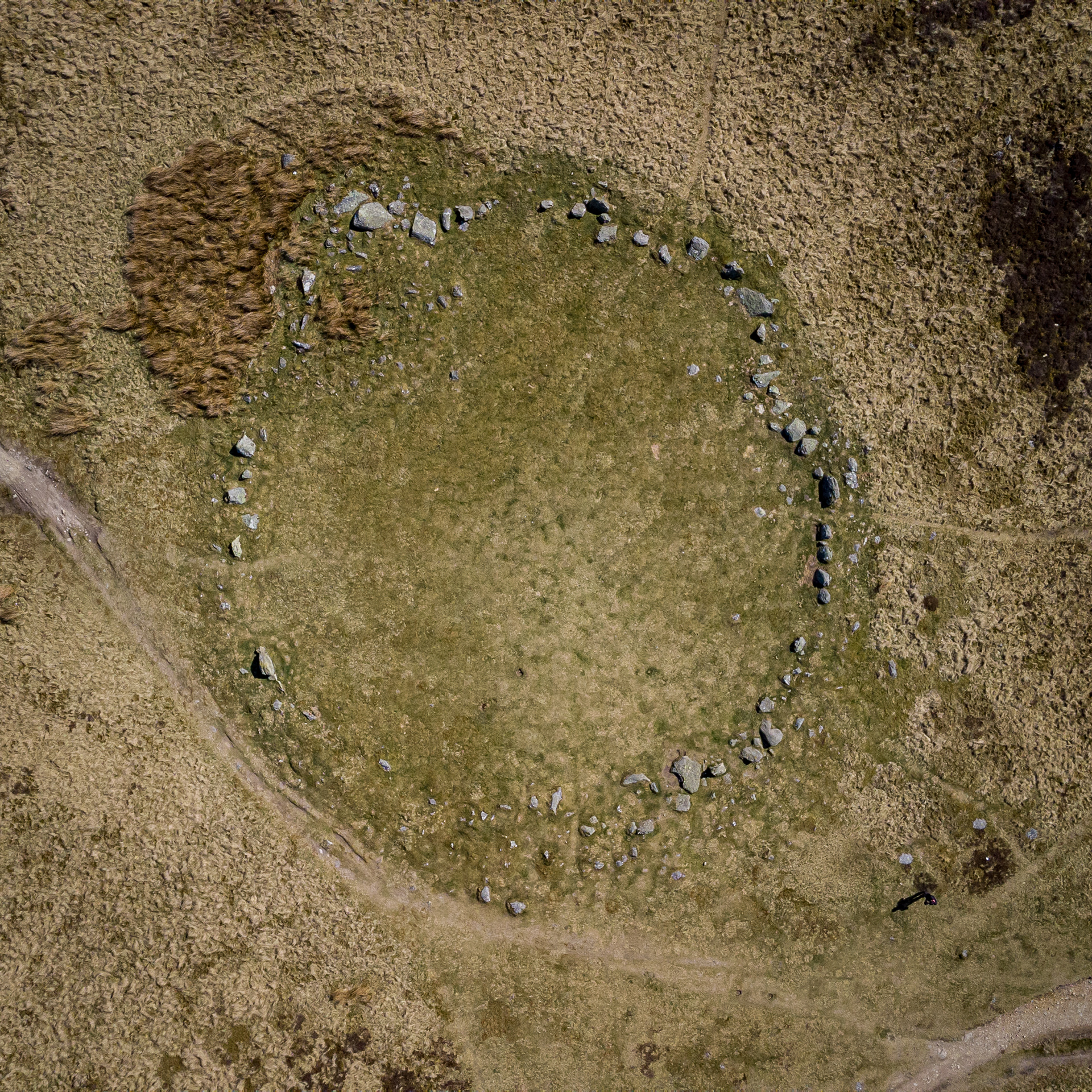 Cockpit Stone Circle