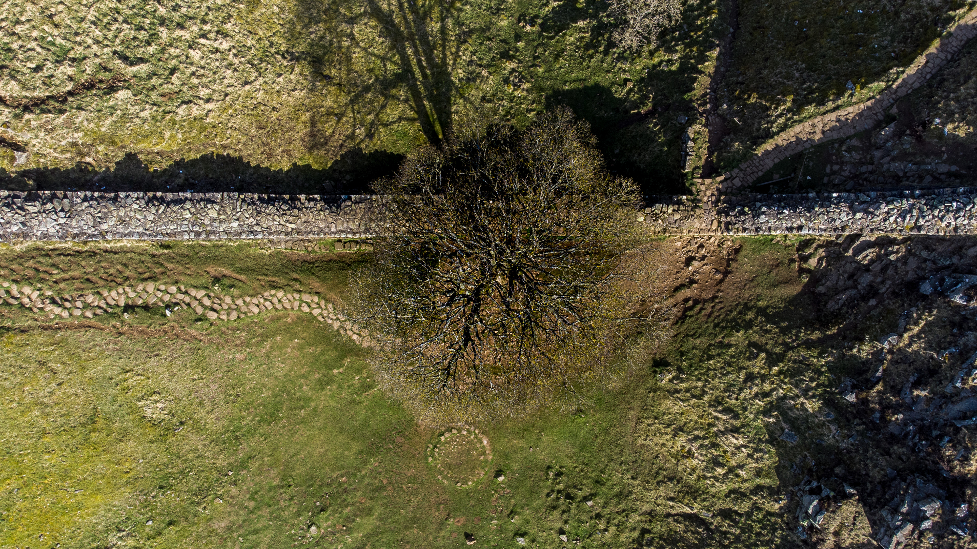 Sycamore Gap, Northumberland