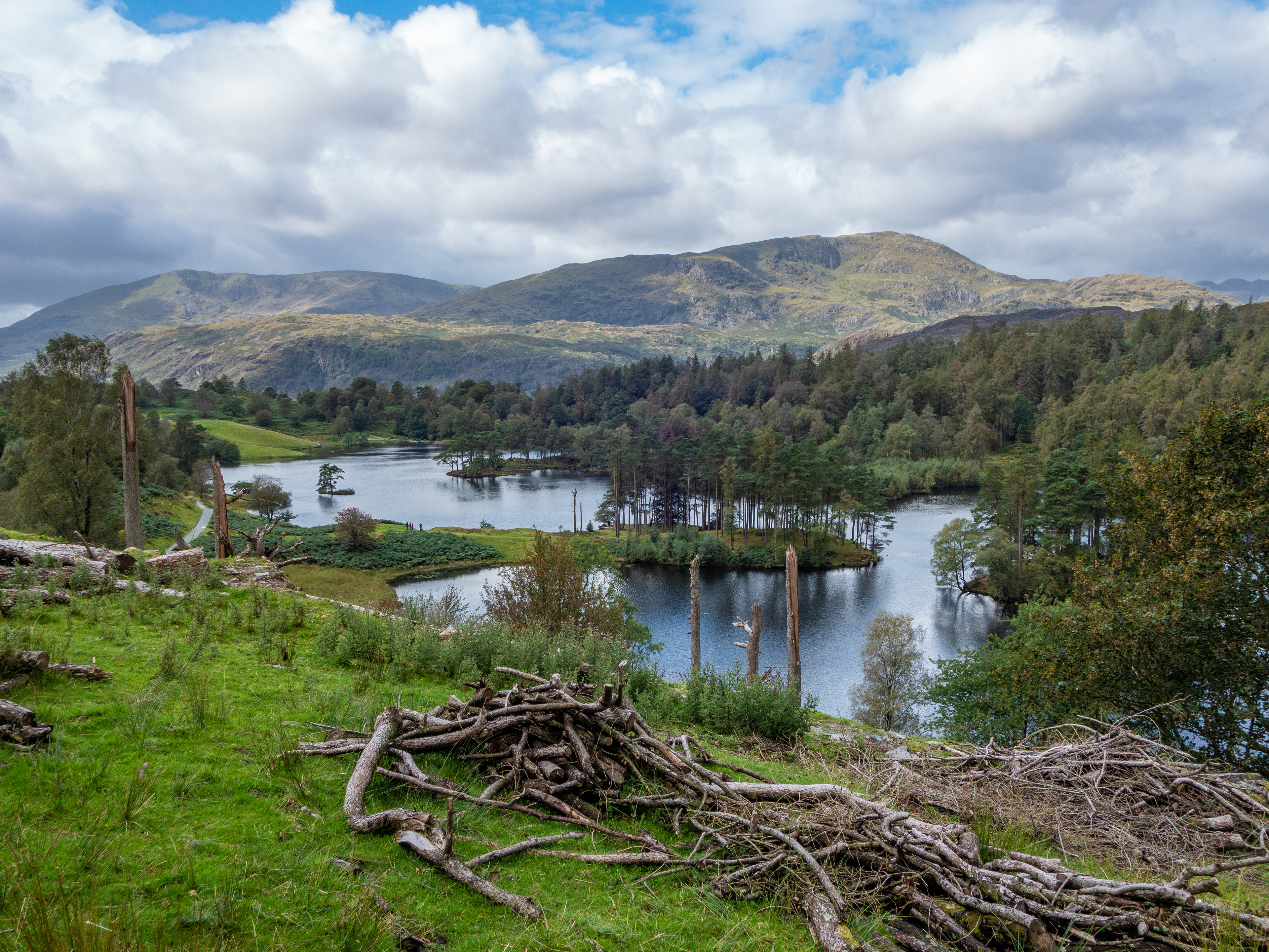 Tarn Hows, Lake District