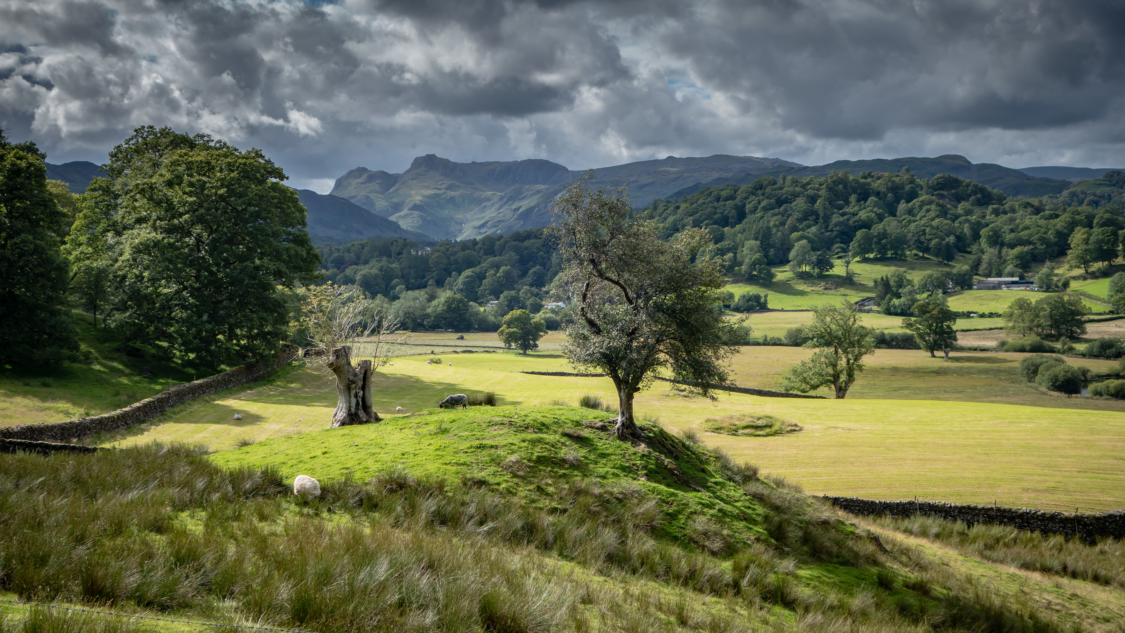 Looking towards Langdale Pikes