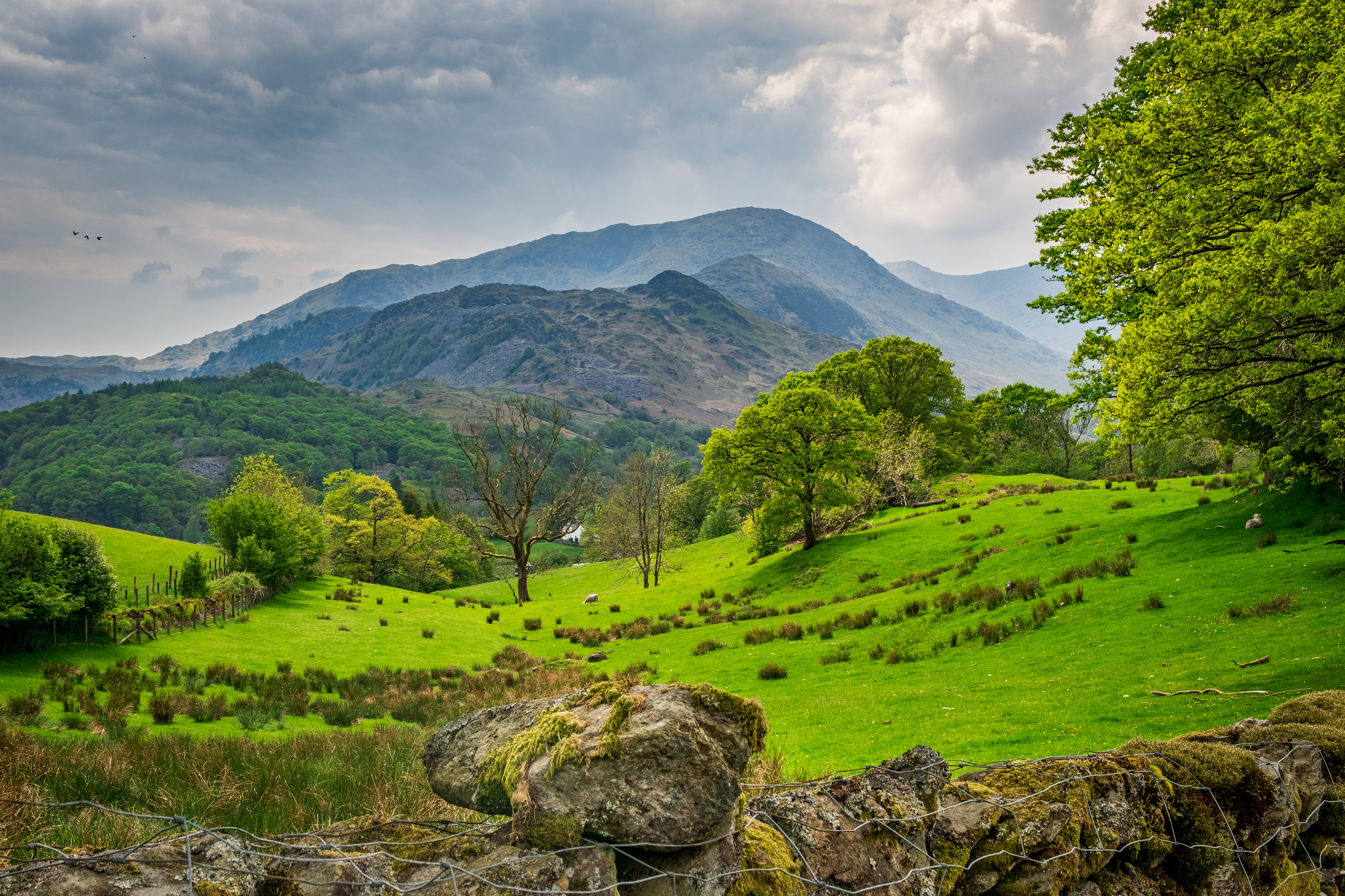 Peaks in the distance