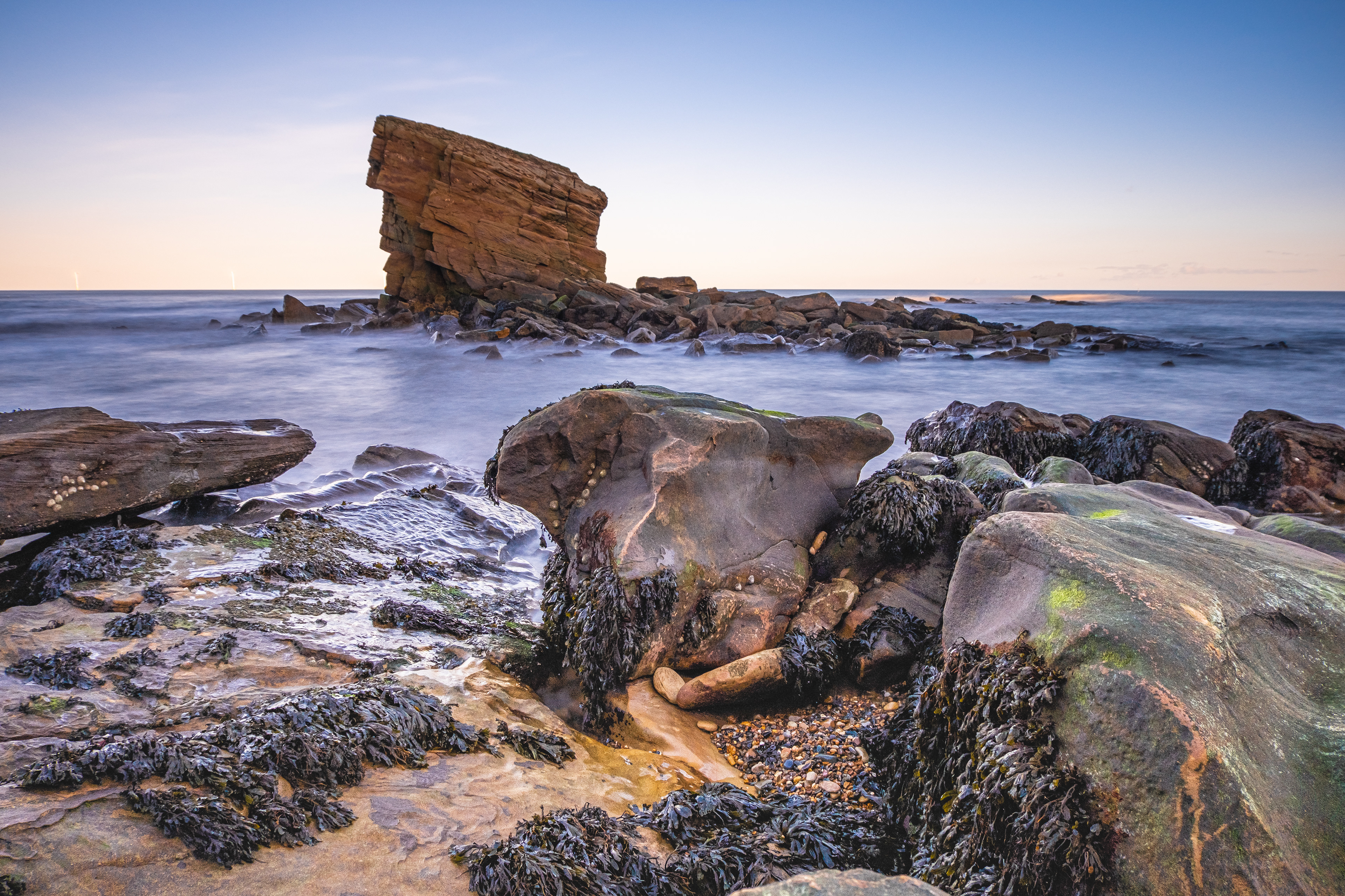 Charlies garden, Seaton Sluice