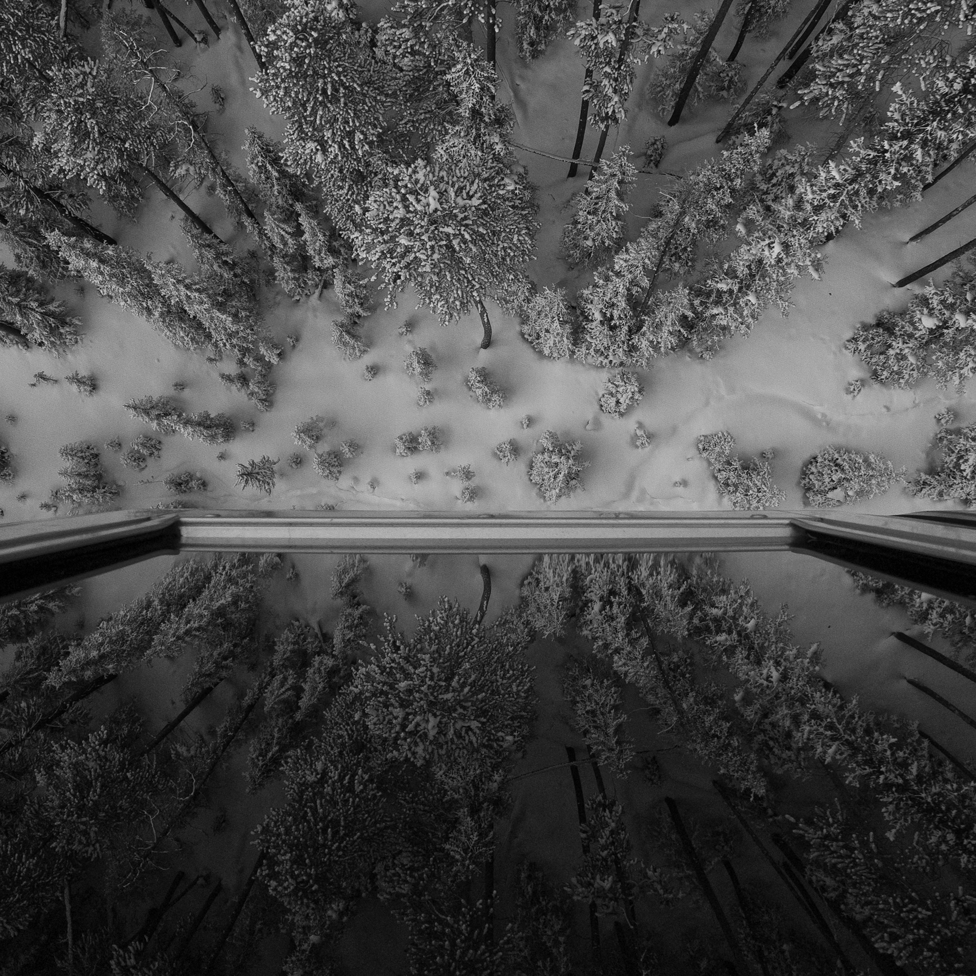 Vertigo, Whistler