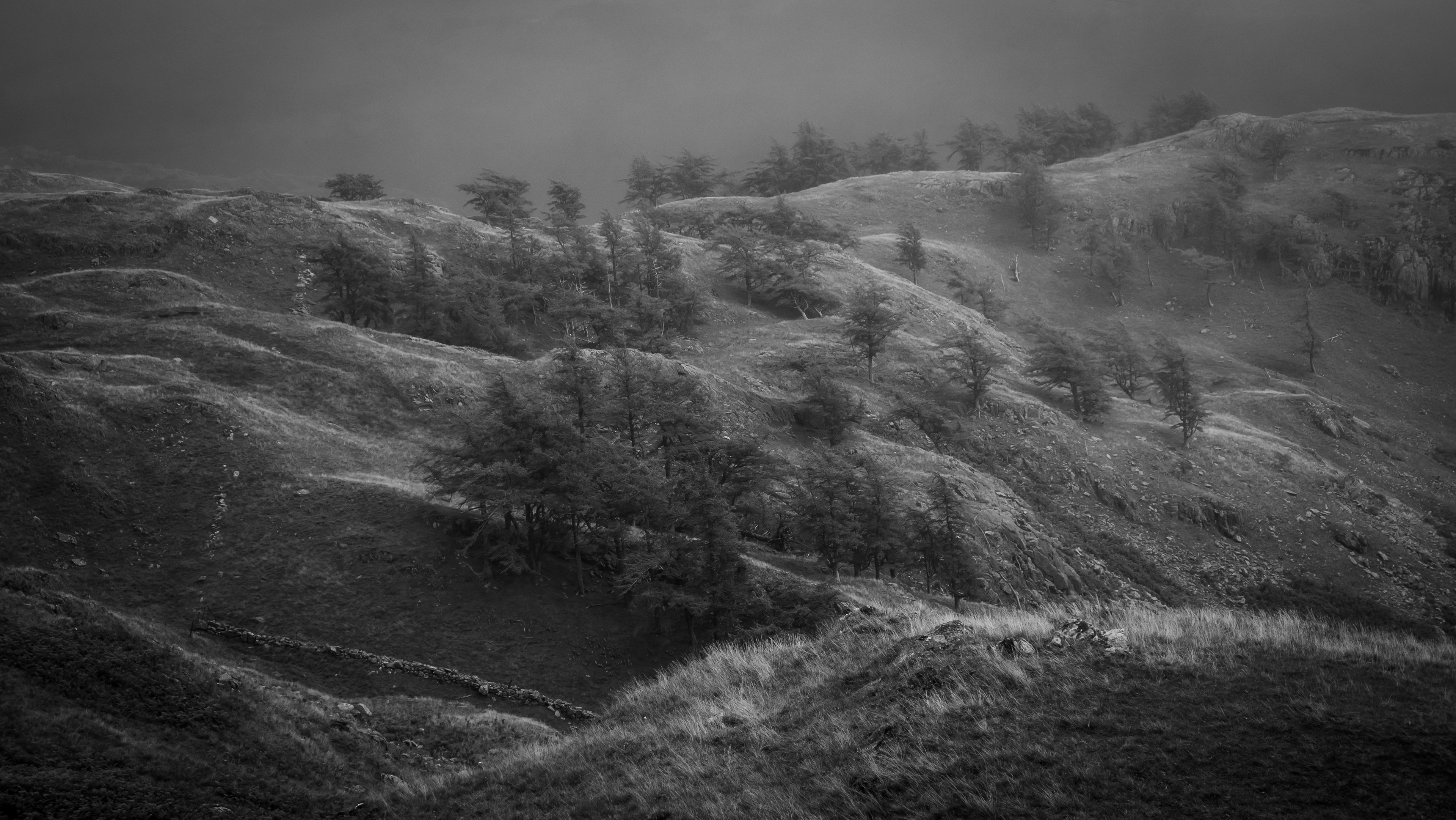 Windswept Lake District