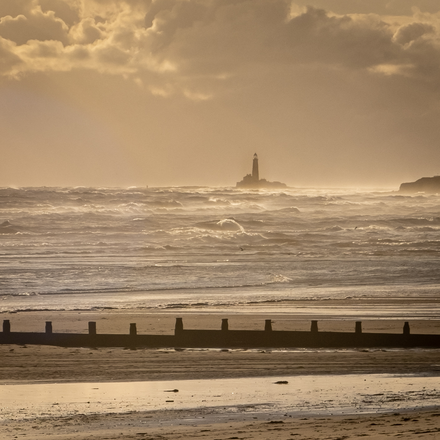 Spot the wave monster, Blyth