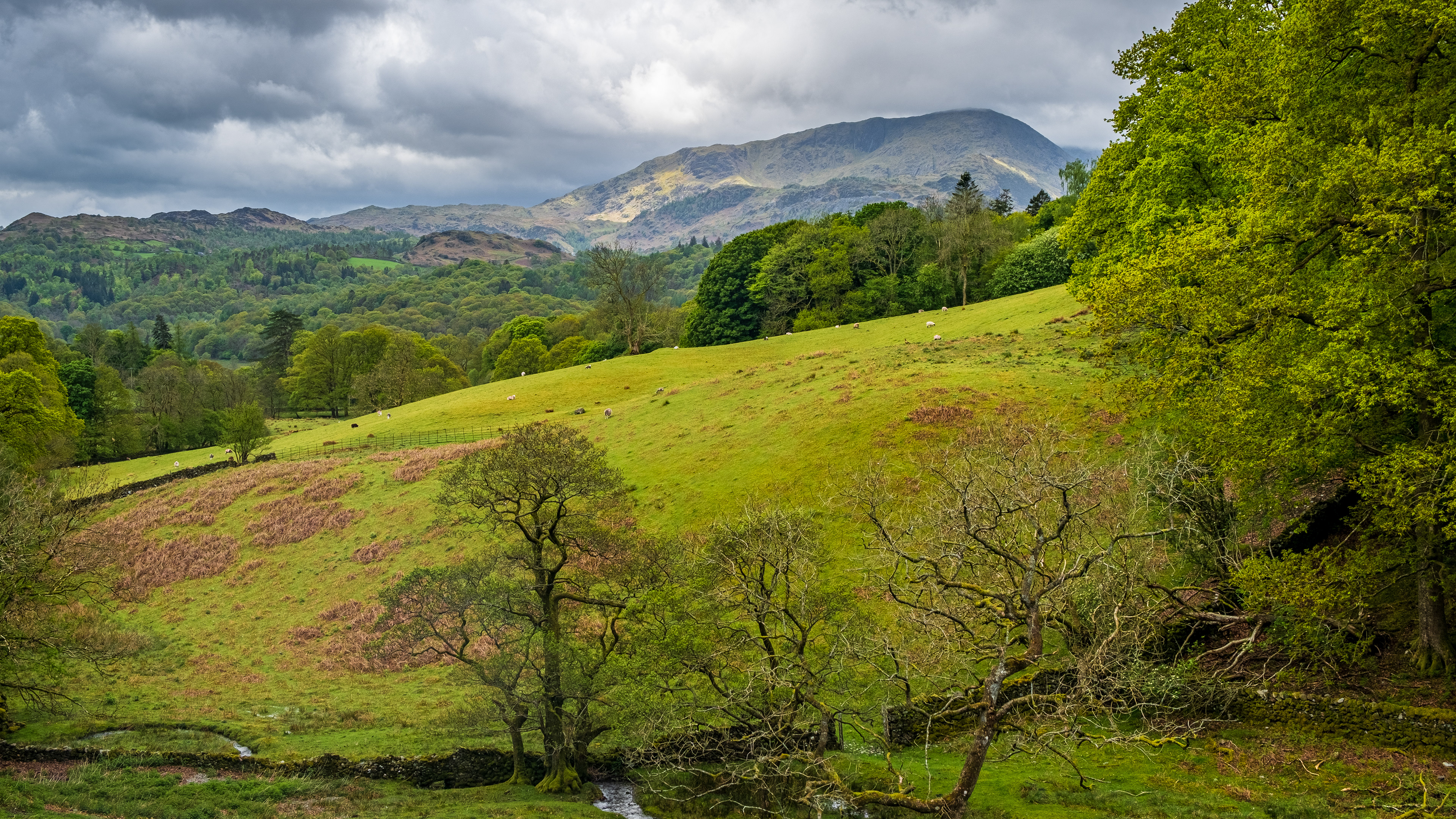 Green fields and Wetherlam