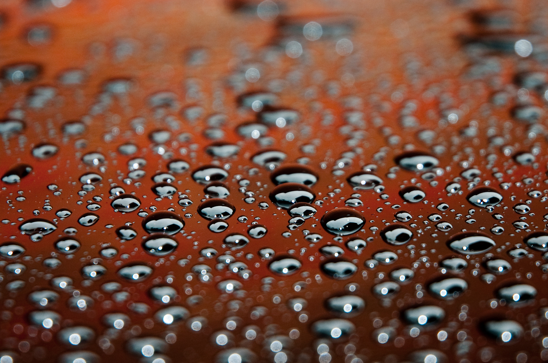 Beads of water