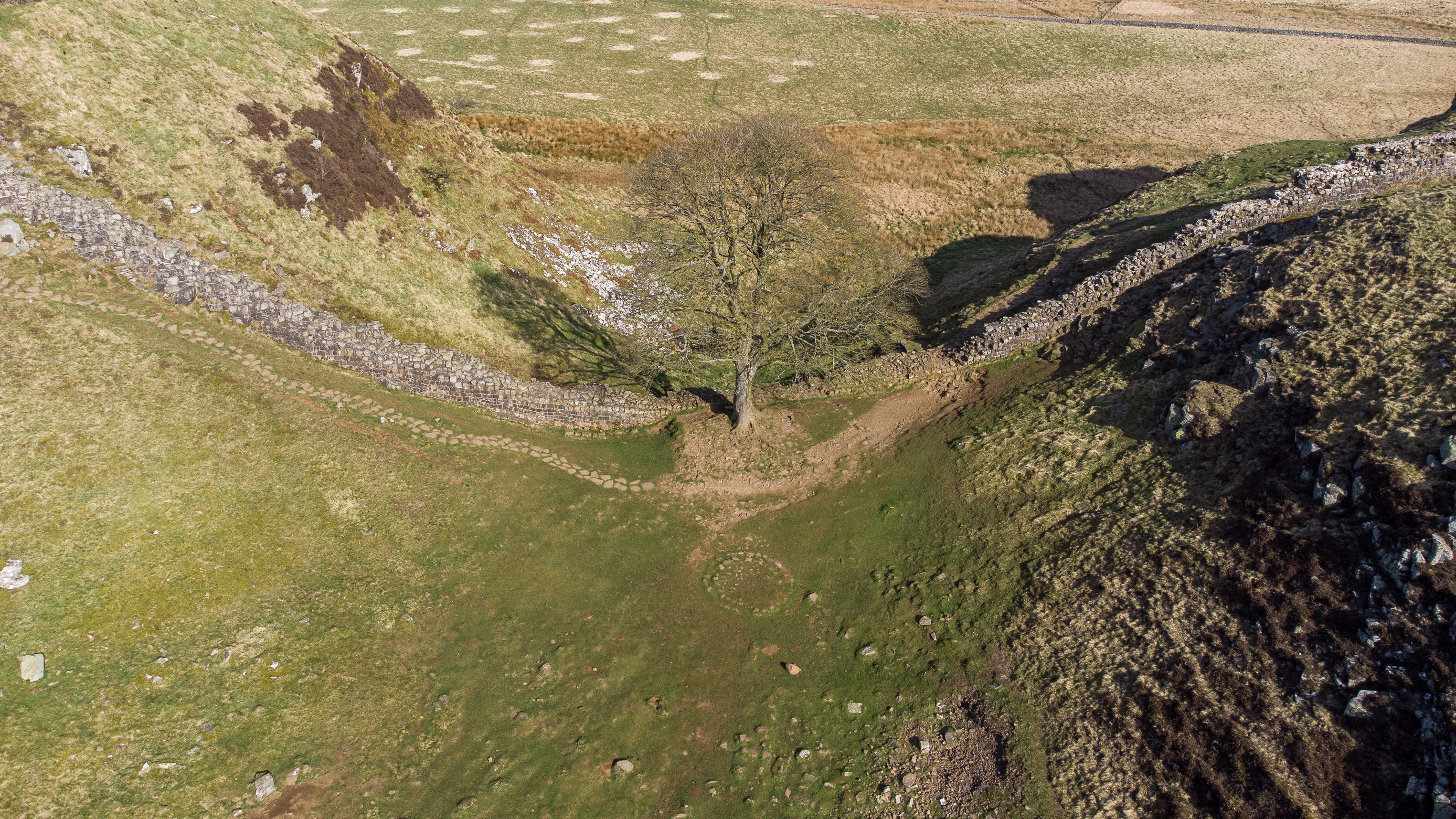 Sycamore Gap, Northumberland