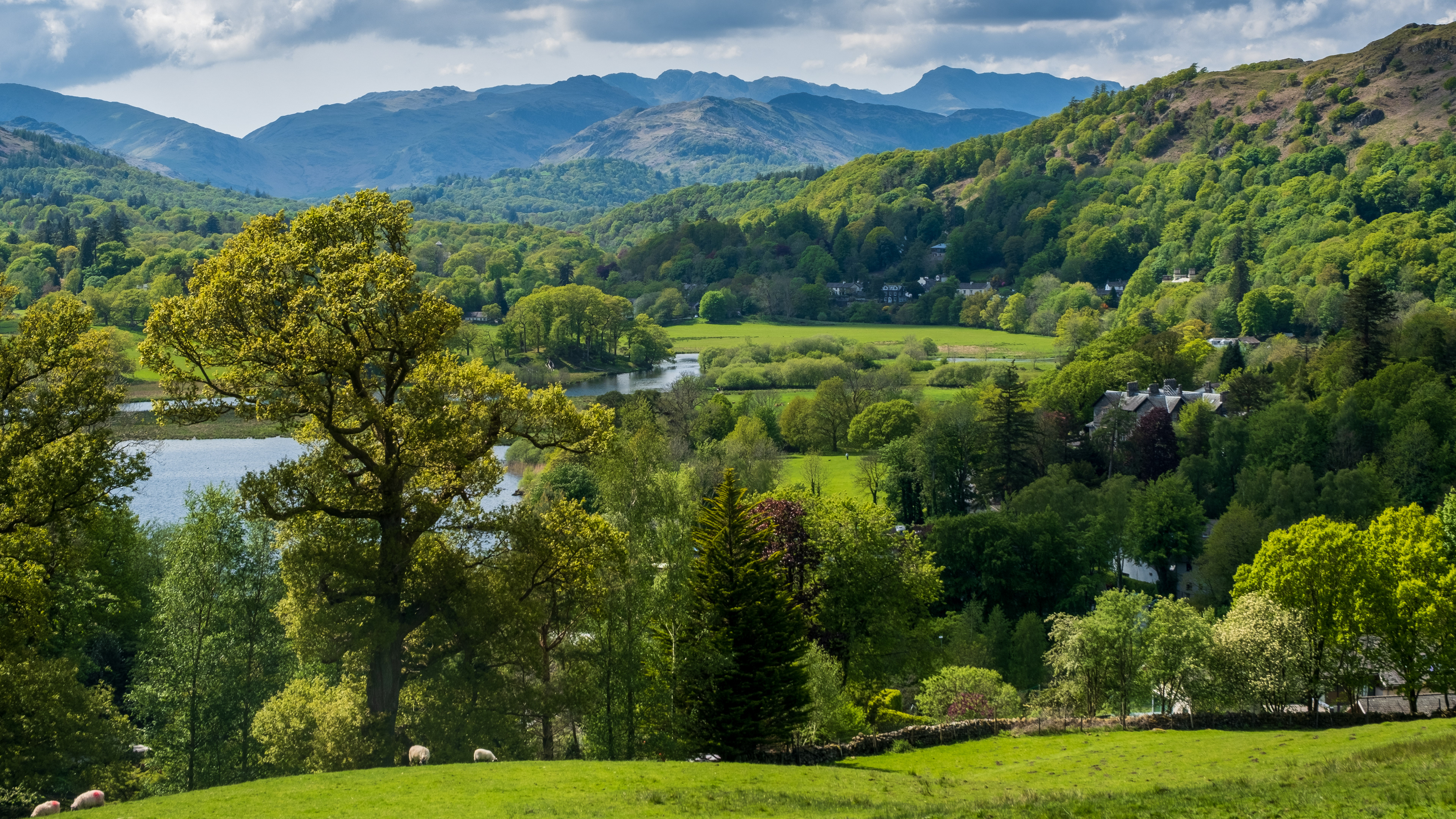 Green trees and mountains, Lake District