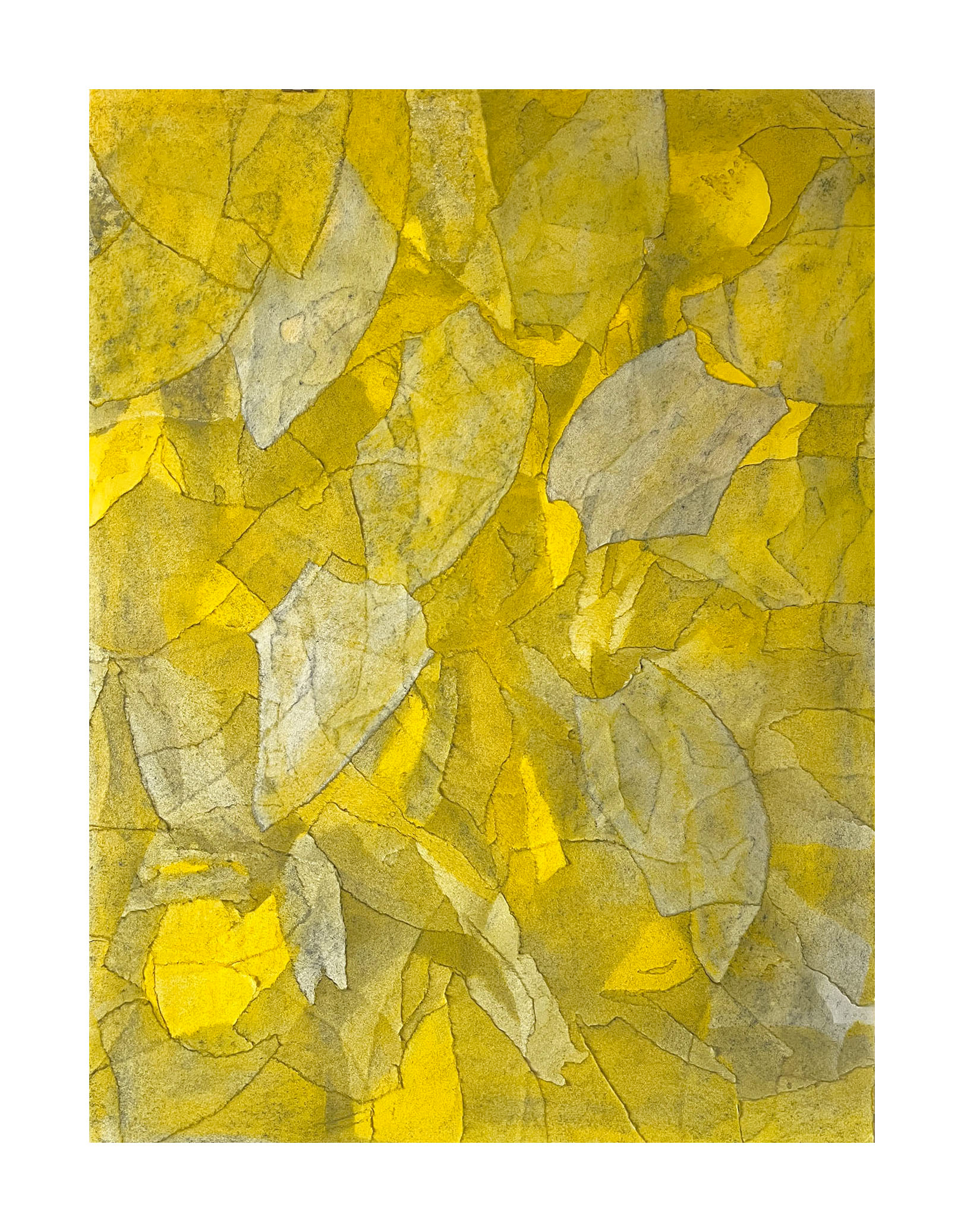 Stimmung, 2026- graphite & soft pastel on rice paper on Heritage paper - 68 x 51 cm