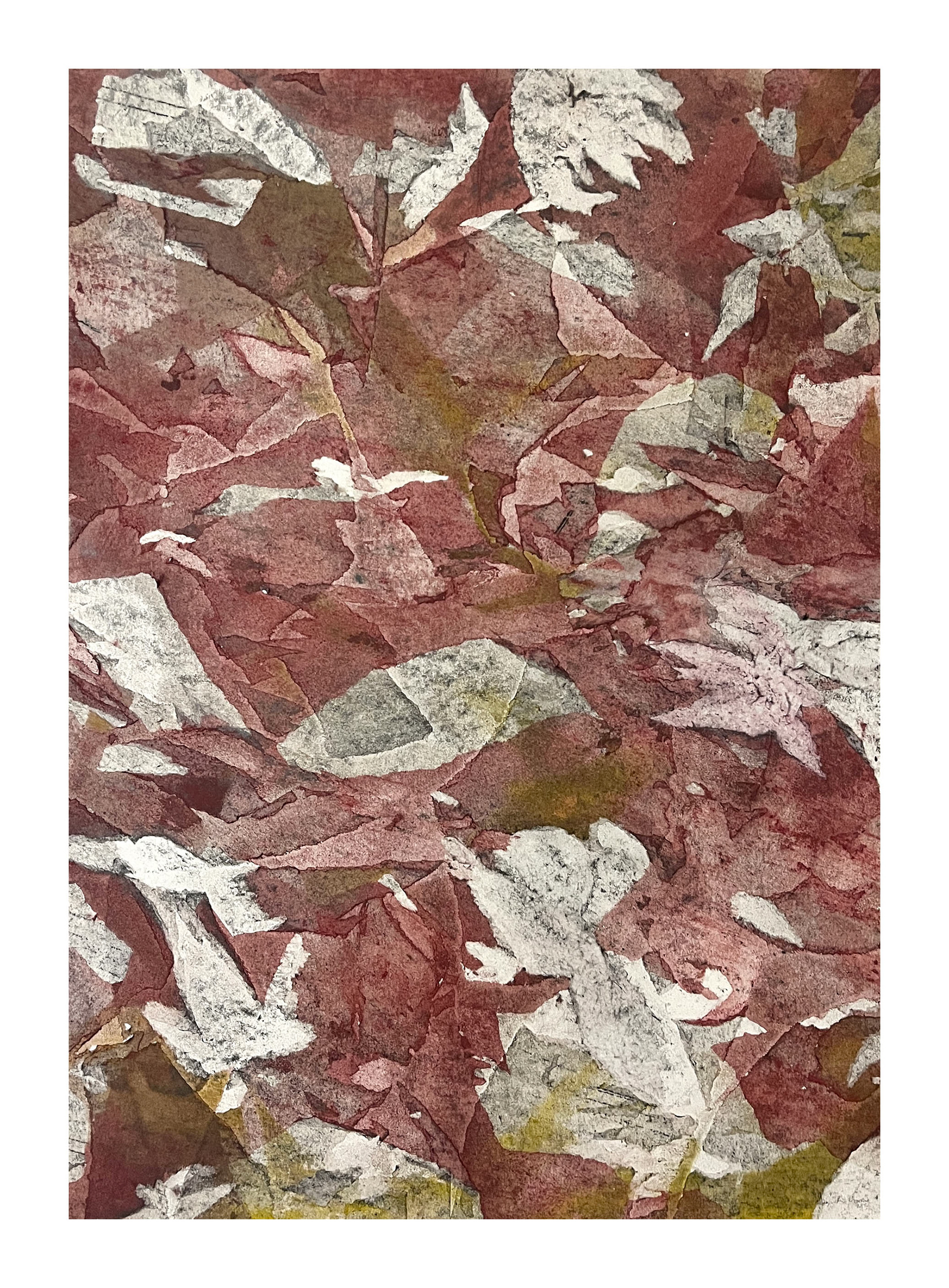 Entanglement, 2026 - graphite & soft pastel on rice paper on Heritage paper - 50 x 35 cm