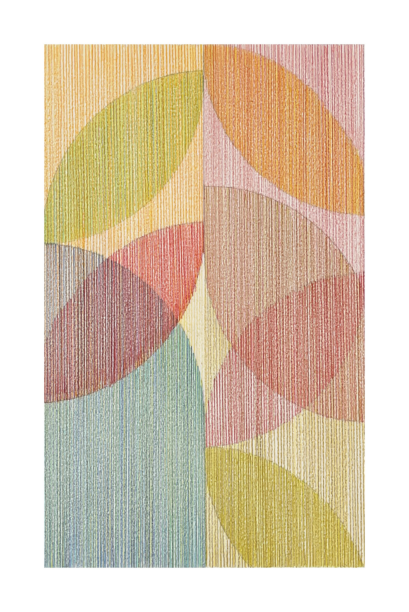 Leaf Drawing 3, 2024 - coloured pencil on A3 Fabriano