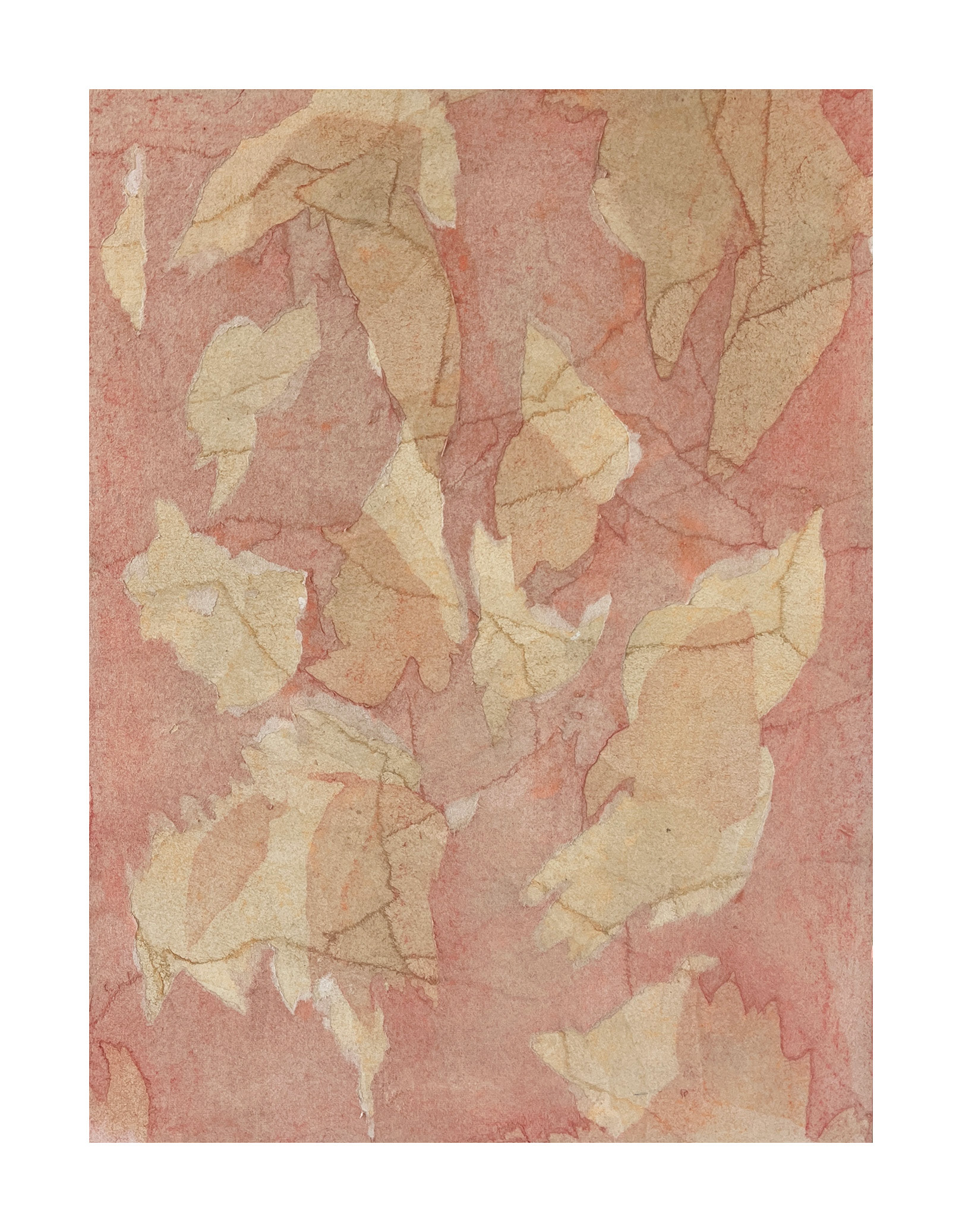 Delicate Disorder - soft pastel on Kozo paper on panel - 43 x 33 cm (framed)