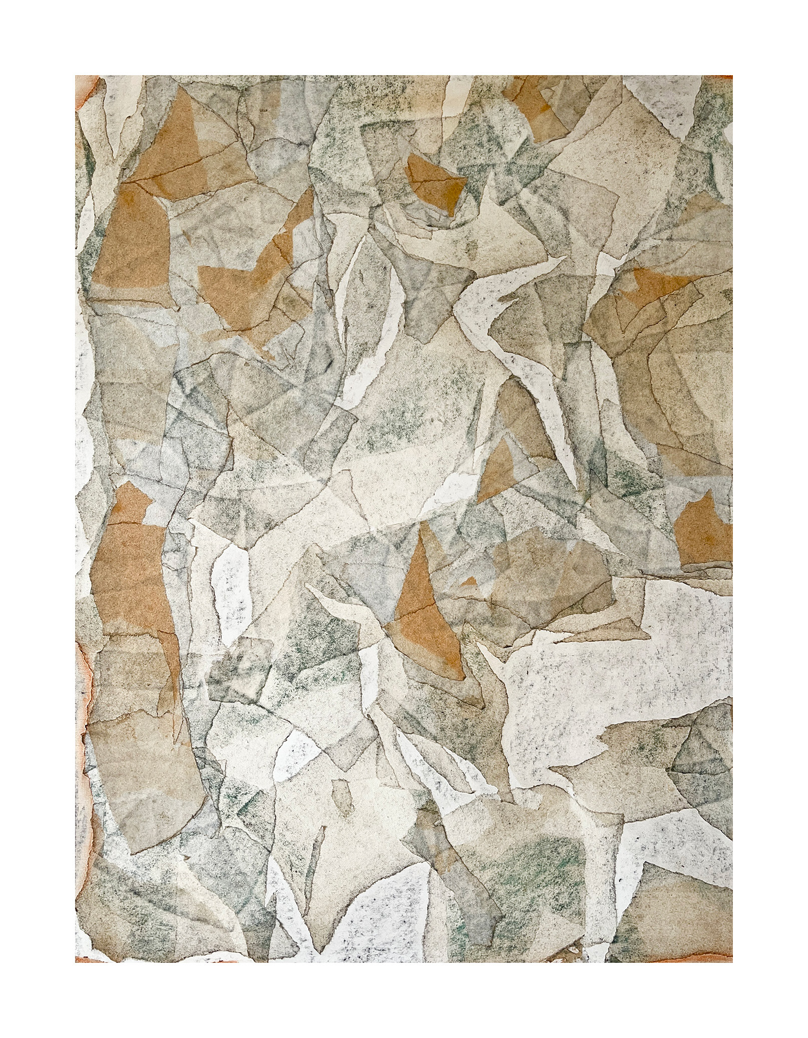 Slow Reveal, 2026 - graphite & soft pastel on rice paper on Heritage paper - 68 x 51 cm