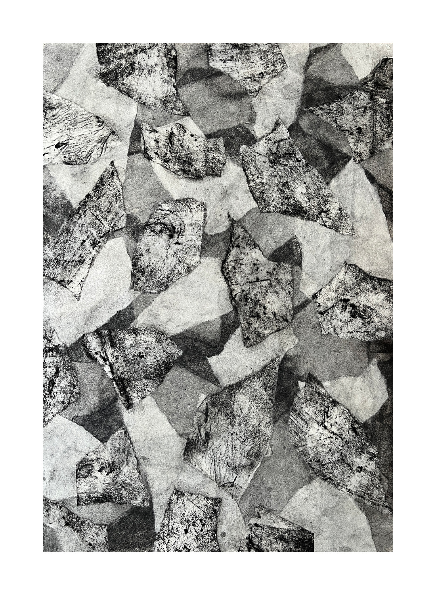 Black White 1, 2026 - graphite & charcoal on Japanese paper on Fabriano - A3