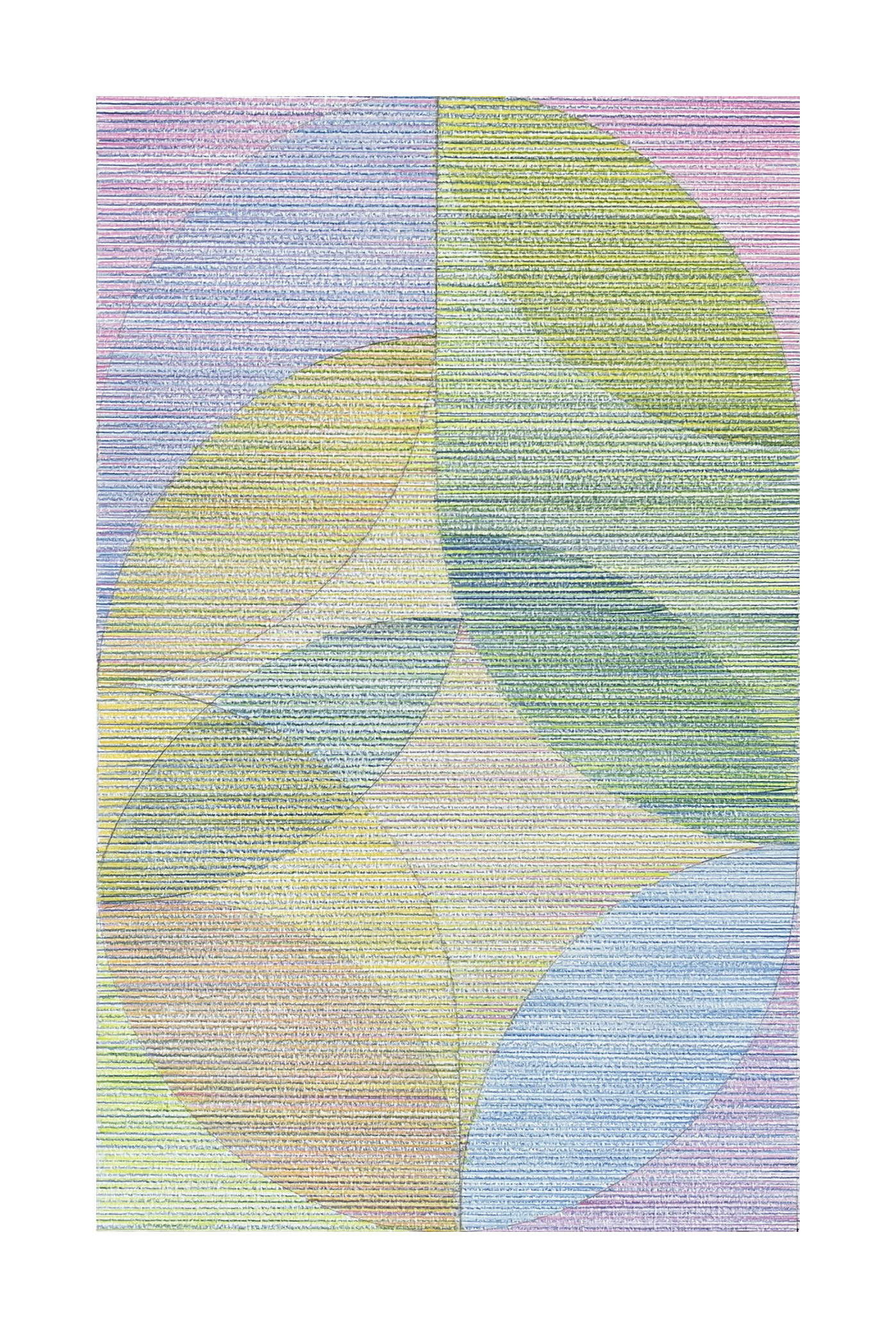 Leaf Drawing 2, 2024 - coloured pencil on A3 Fabriano 