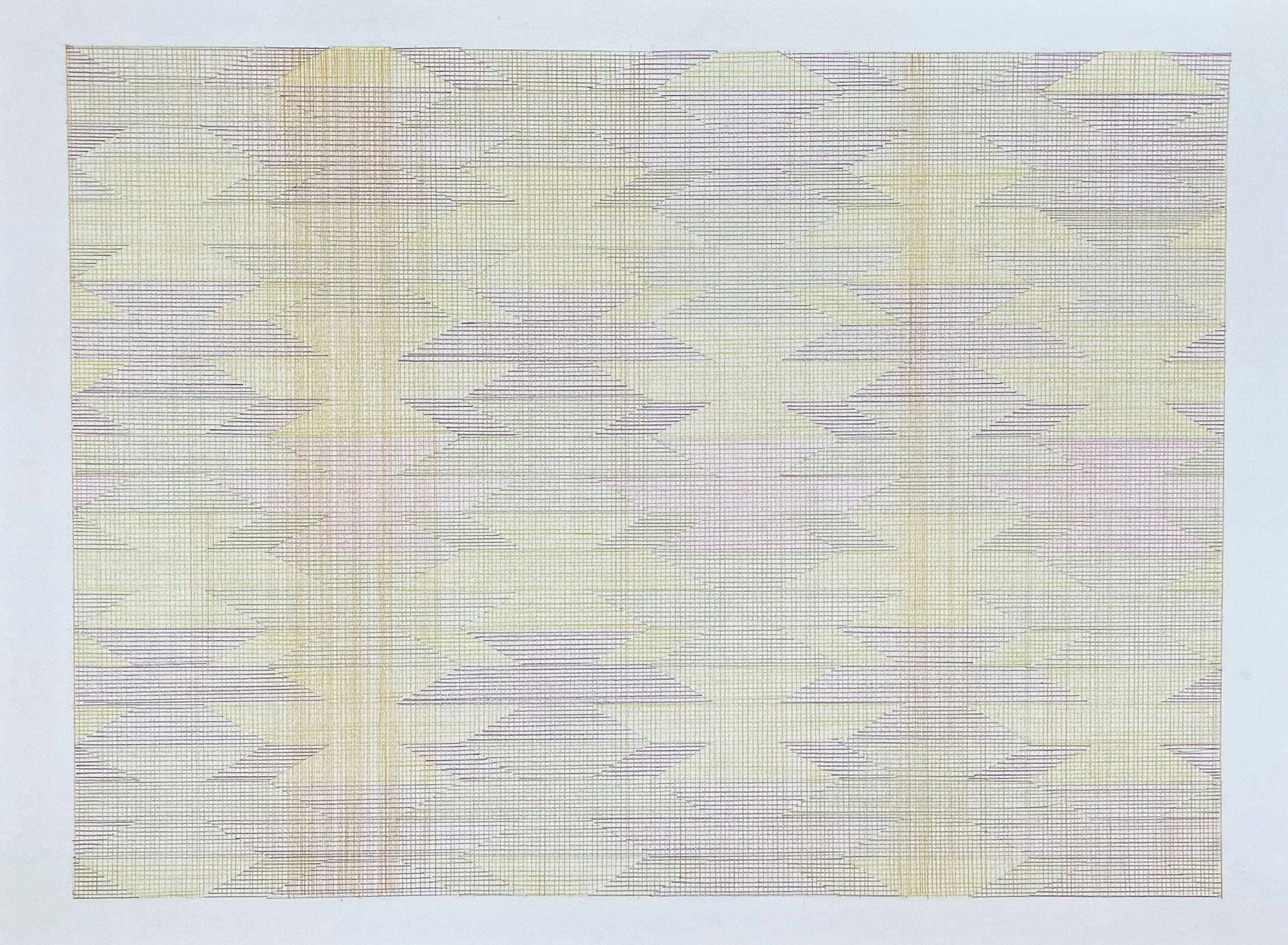 What If? 10, 2021 - coloured pencil on 315g Heritage paper- 52 x 68 cm