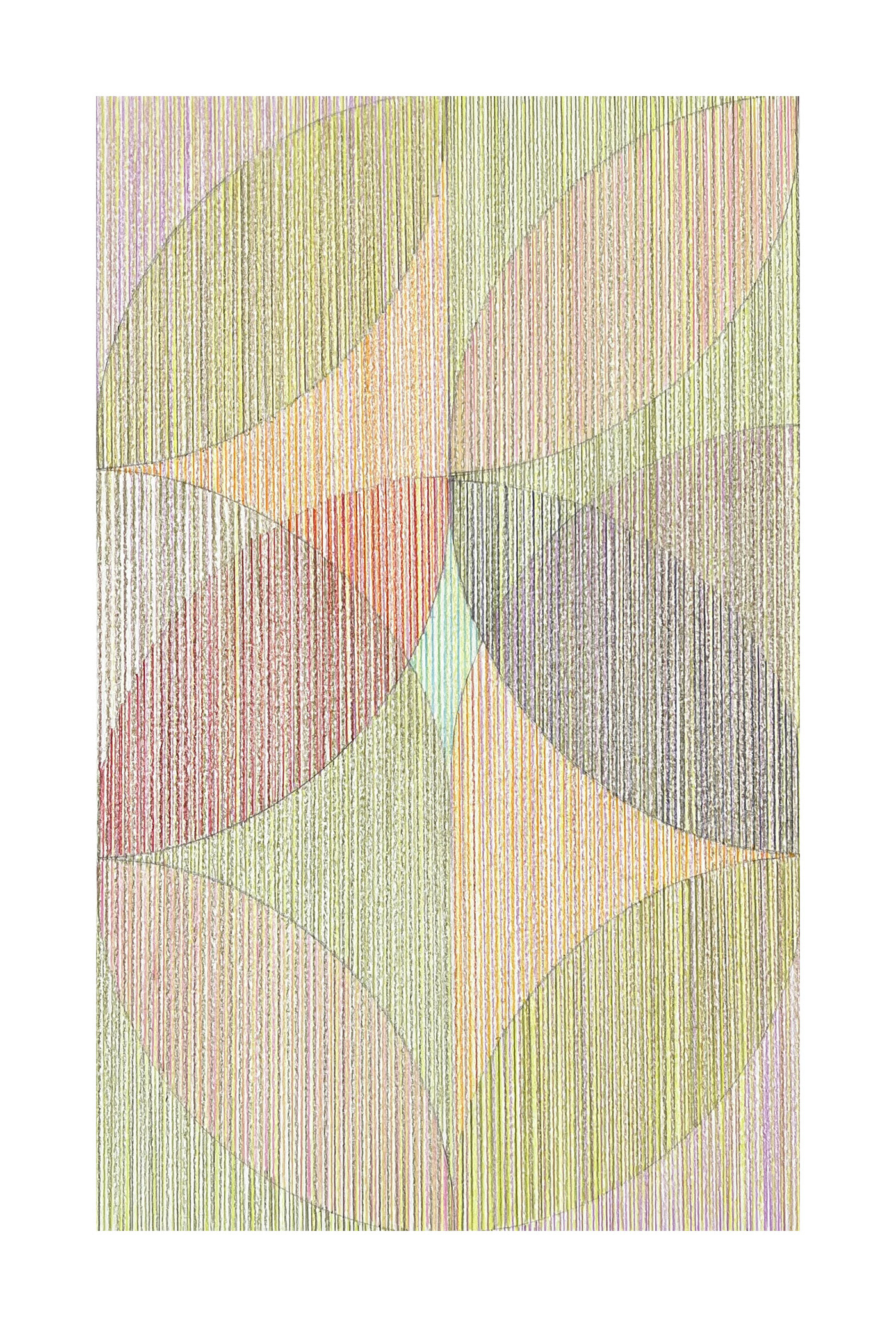 Leaf Drawing 1, 2024 - coloured pencil on A3 Fabriano