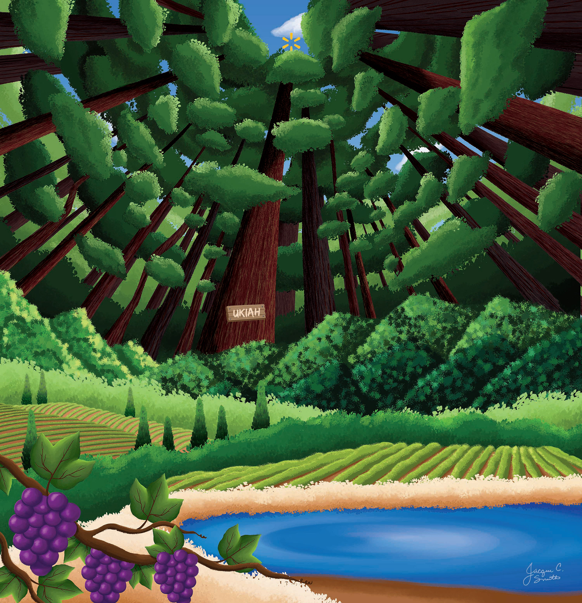 Ukiah, California #2052