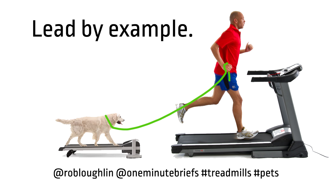 #TREADMILL #PETS