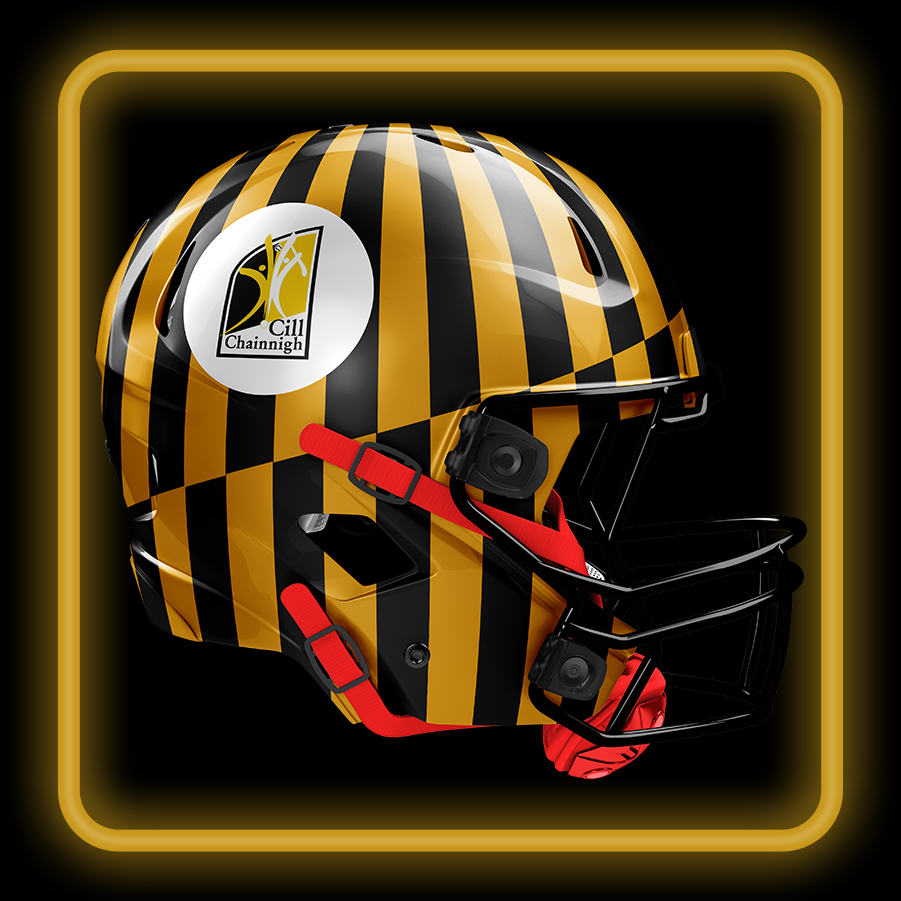 #KILKENNY #LEINSTER