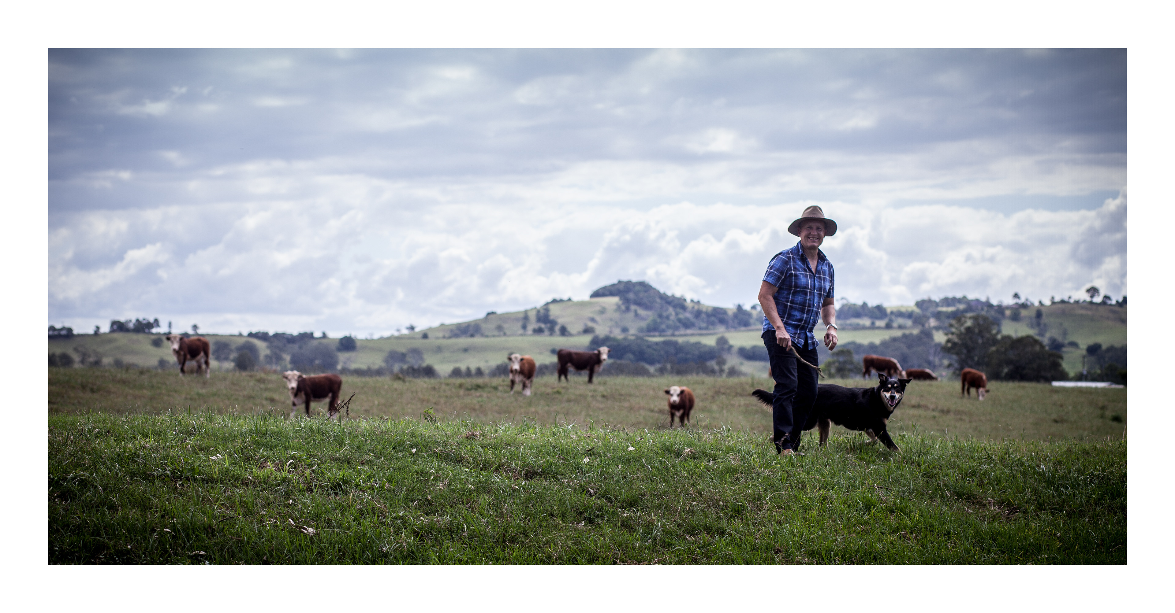 Smarter Business Ideas