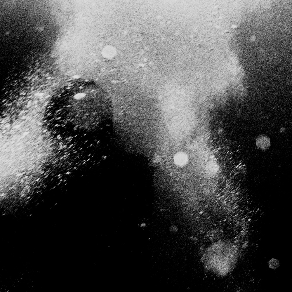 © signe markvard