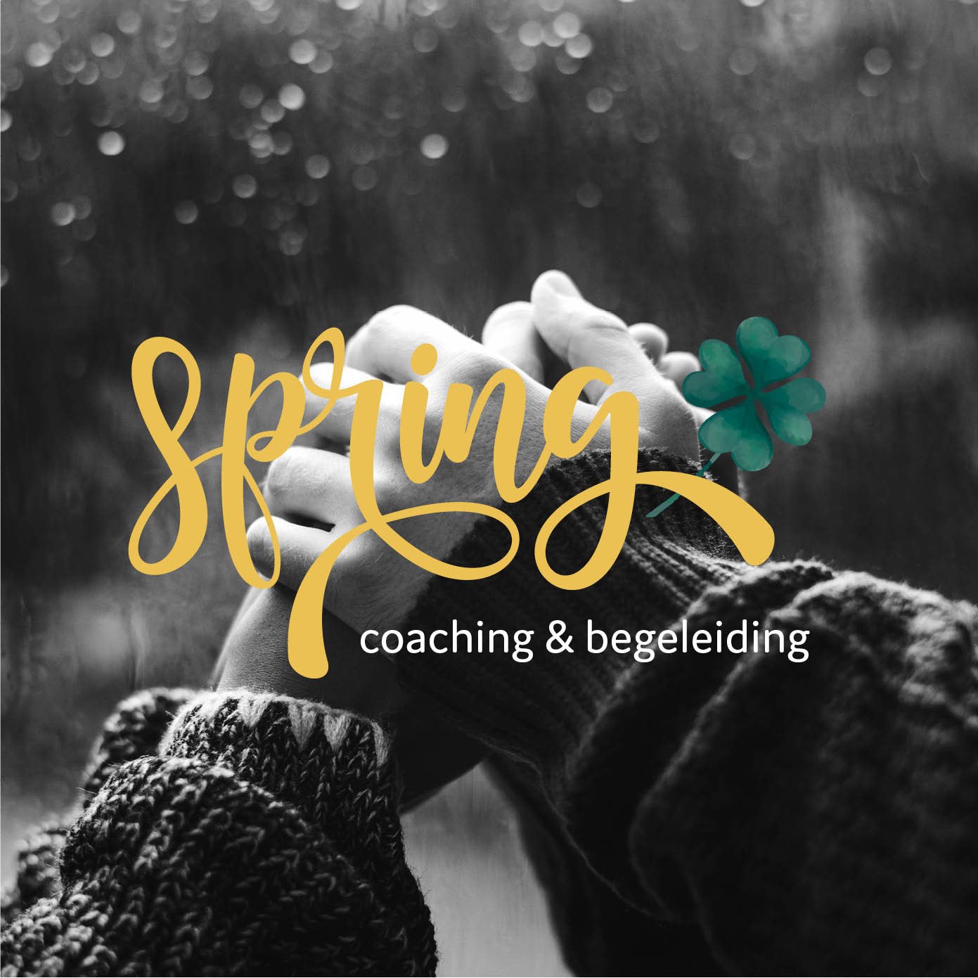 Spring coaching & begeleiding fotografie