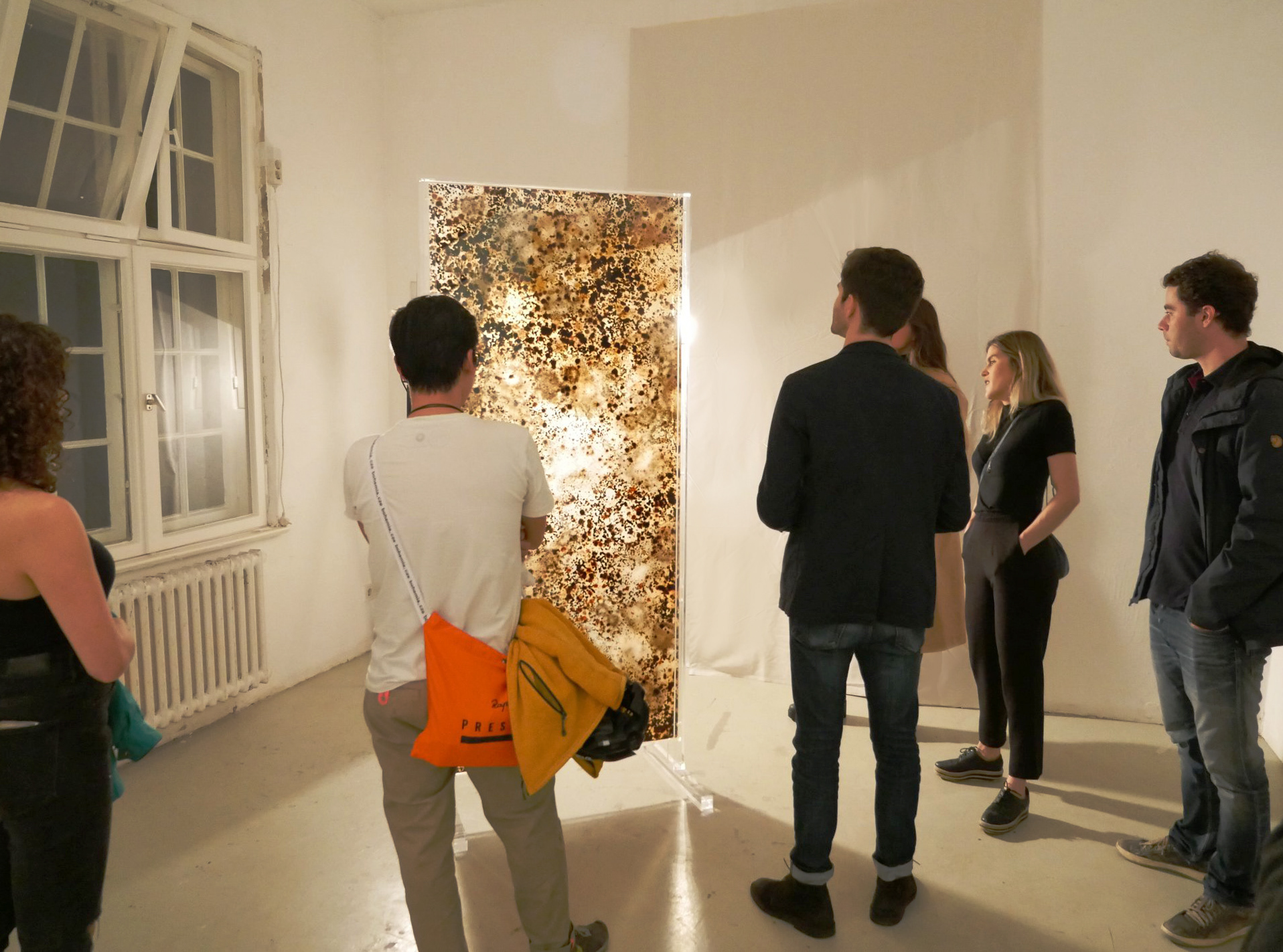 Bruna Mayer, exposição, exhibition, Glogauair open studios, artist residency, art residency, art, arte, artista, artist, visual artist, artista plástica, fine art, arte contemporânea, contemporary art, installation, instalação, bacteria, fungi, corpo, body, 