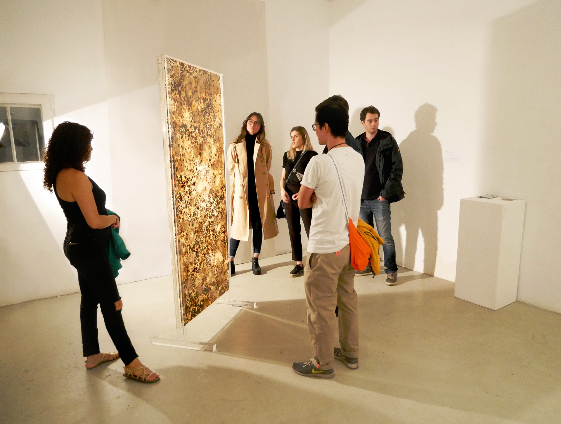 Bruna Mayer, art, exhibition, visual art, artista, kunst, Glogauair, micro-organisms, bacteria, fungi, artista visual, artista plastica