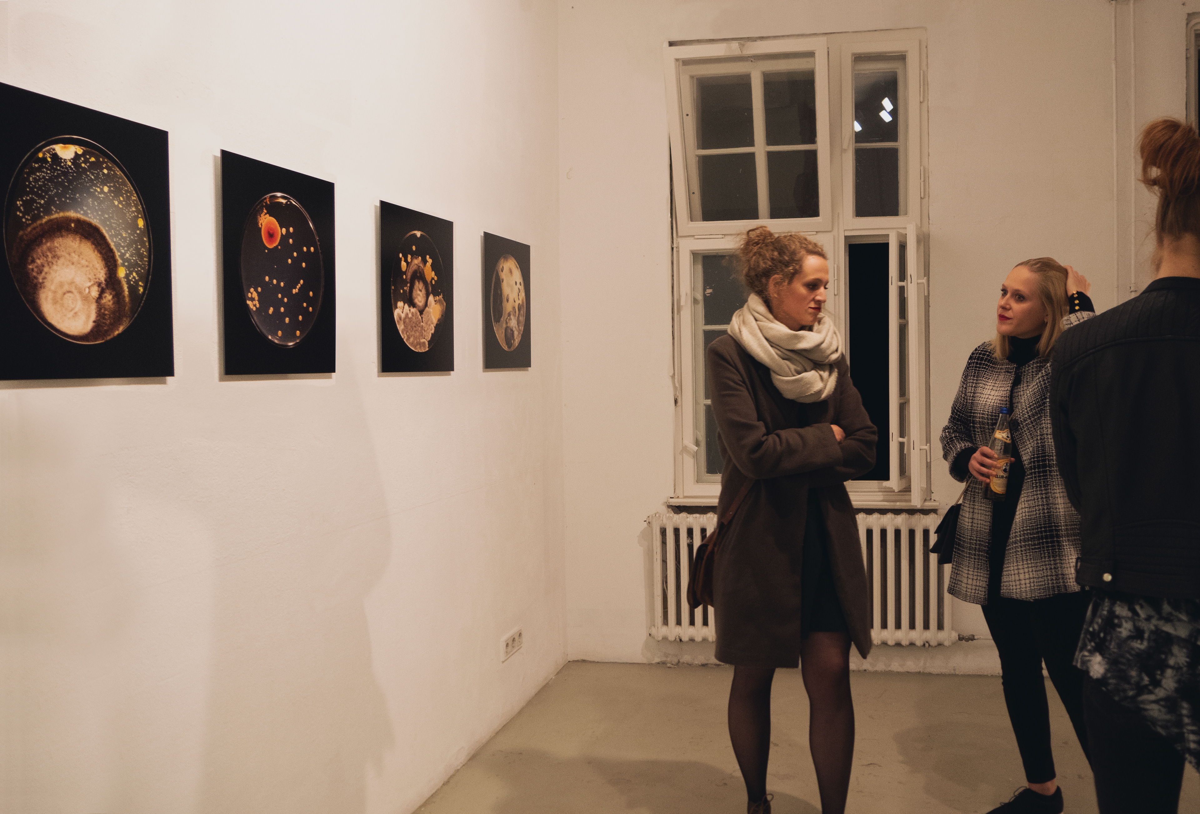 Bruna Mayer, Exhibition, GlogauAir, arte contemporânea, artista, artist, visual artist, artista visual, fine art, artista plástica, kunst, arte, art, bacteria, fungi, micro-organismos, bio-art, Kunst