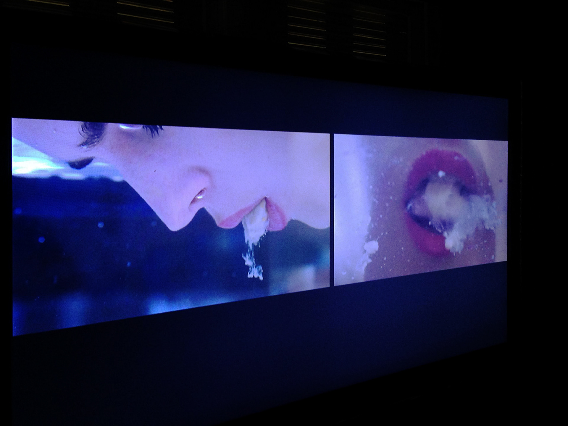 Bruna Mayer, works, exhibition, exposição, bienal de curitiba, Linfa 2017, video instalação, videoinstallation, Kunst 
