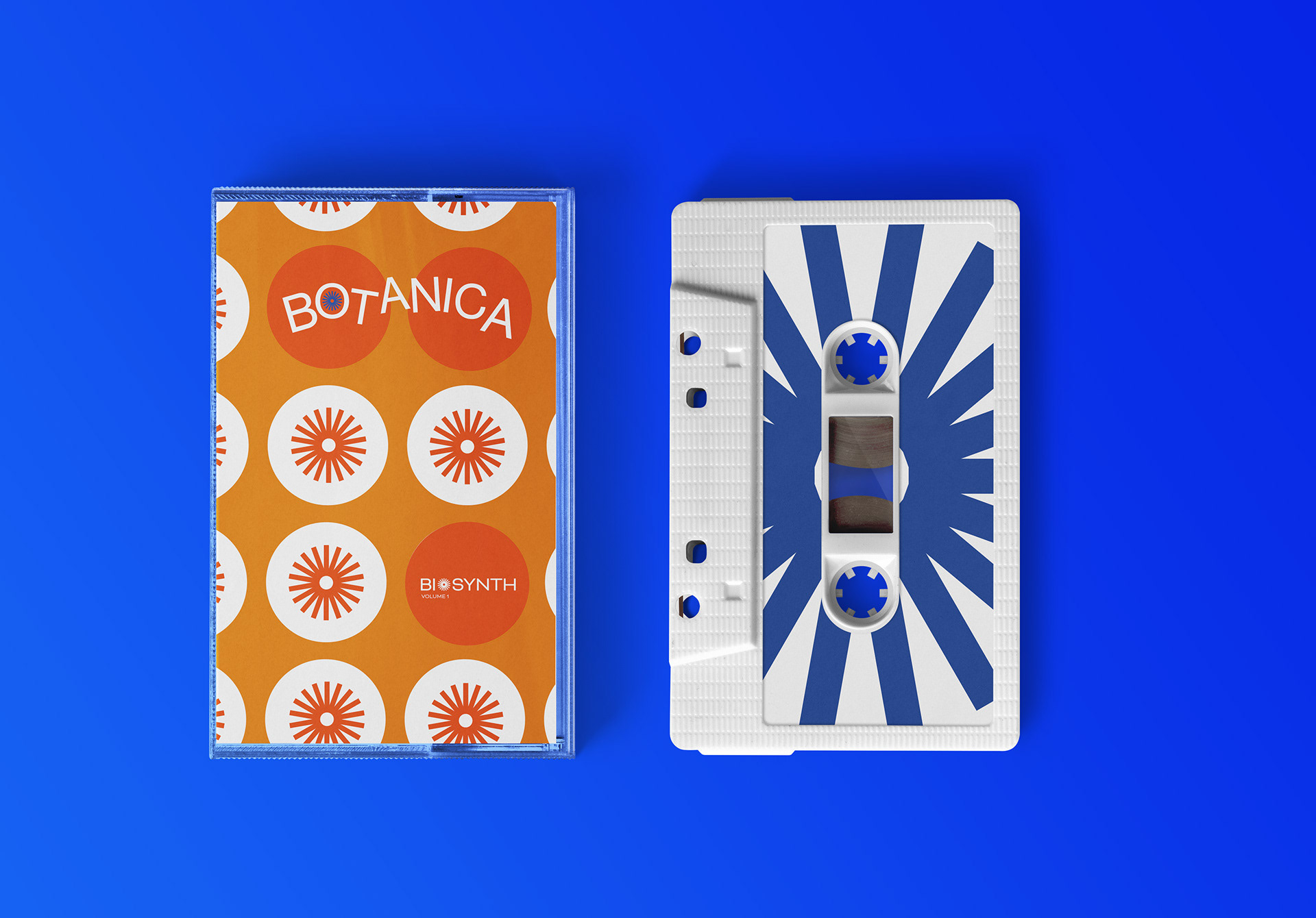 Souvenir Cassette Recording of the experience