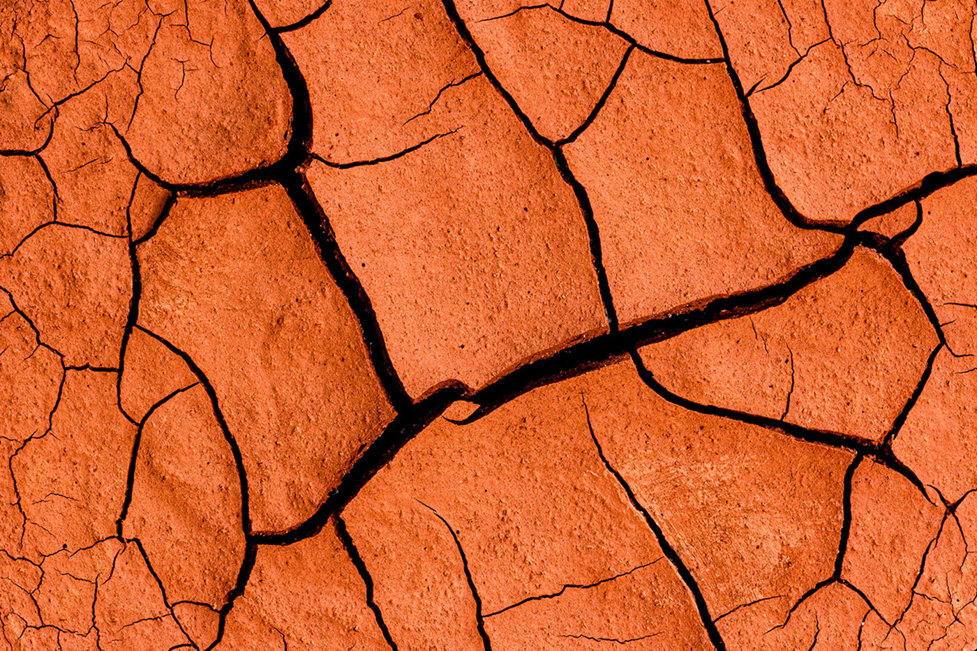 AARDschaal met uitgedroogd sediment uitsnede img