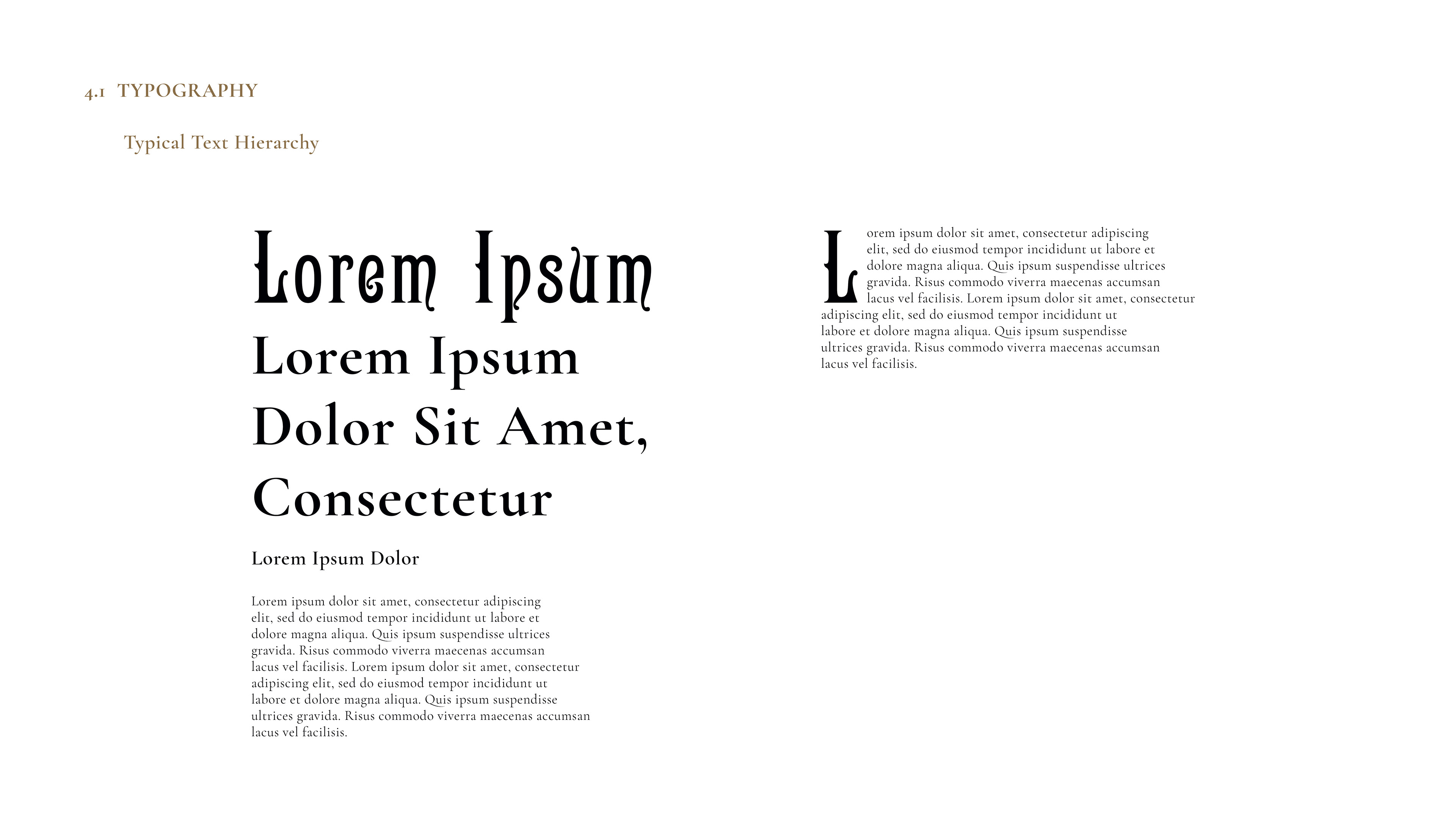 La Maison d'Asura - Brand Guidelines