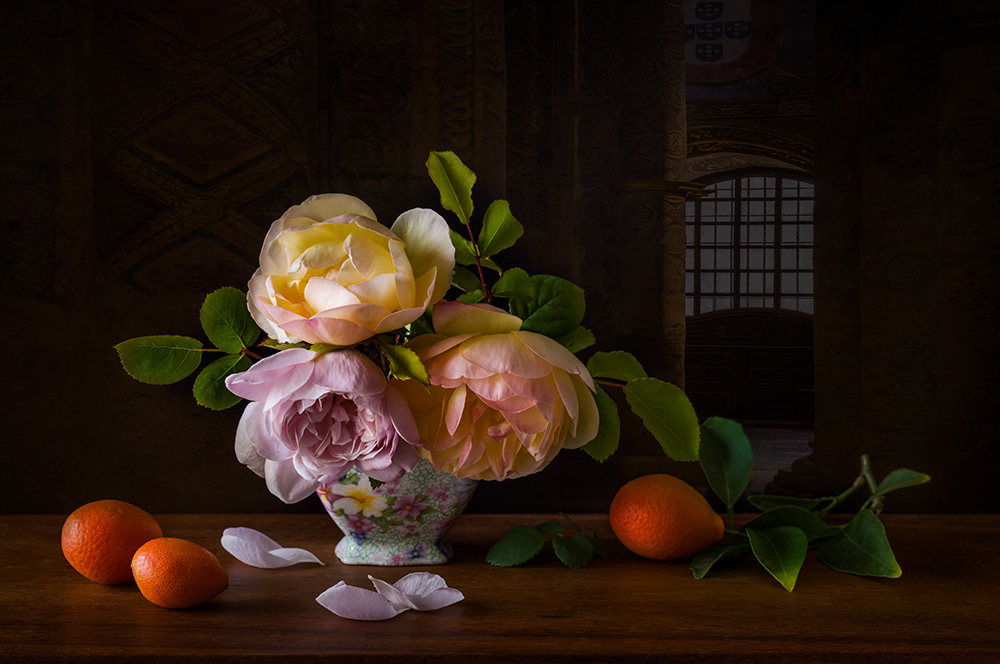 Time Watches as Petals Fall