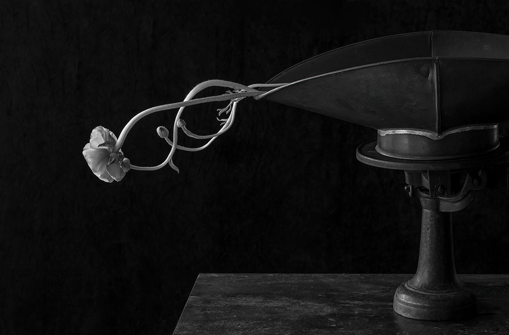 The Weight of Infinity