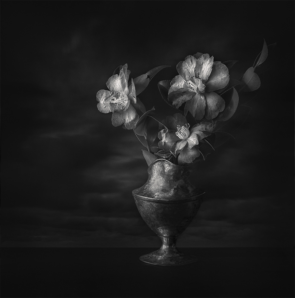 Night Bloom