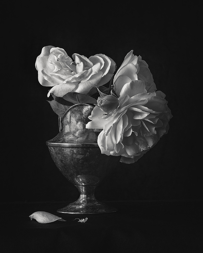 Petals