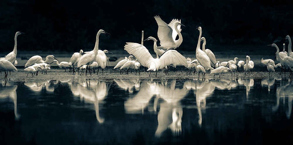 Diva From Old Hollywood