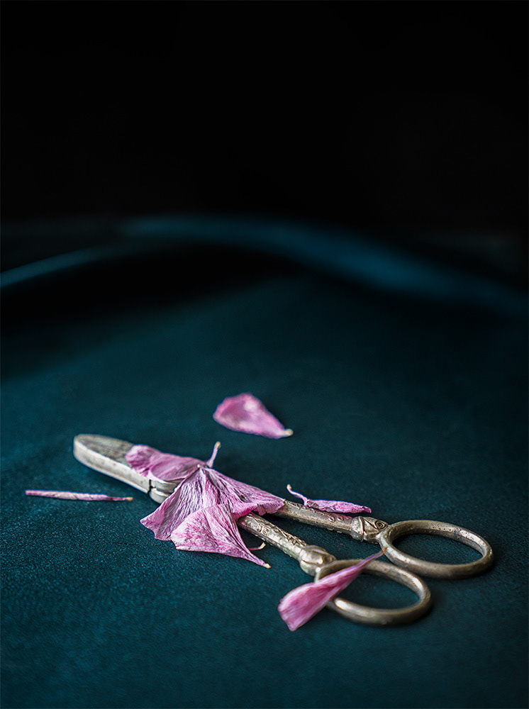 Petals and Shears